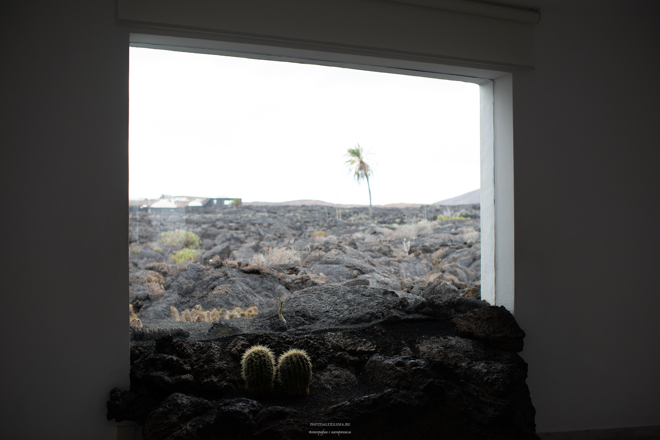 Минимализм. Авторские стильные фотокартины