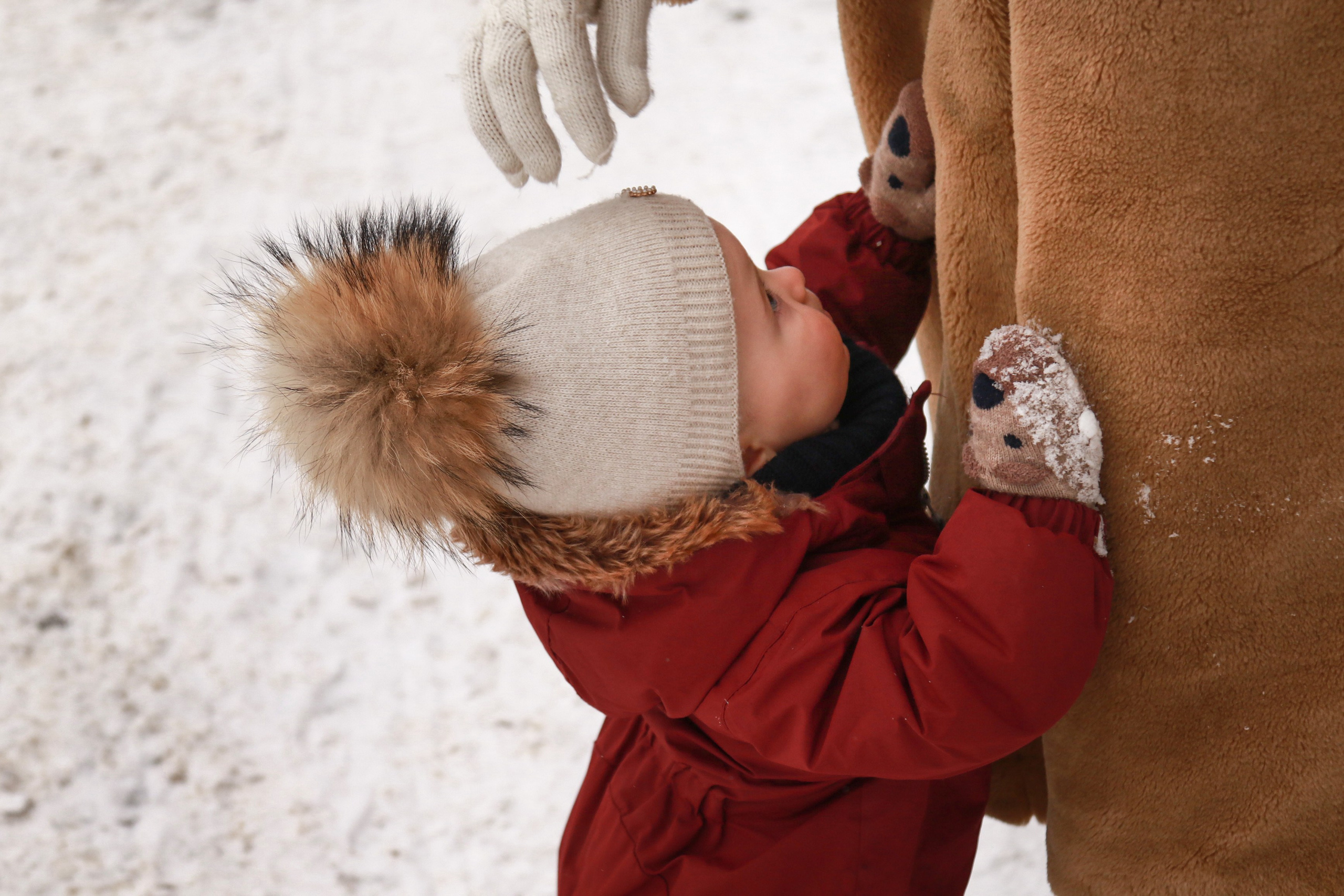 Красотки на снежной прогулке. Фотограф Зеленоградск Лиана Сопина