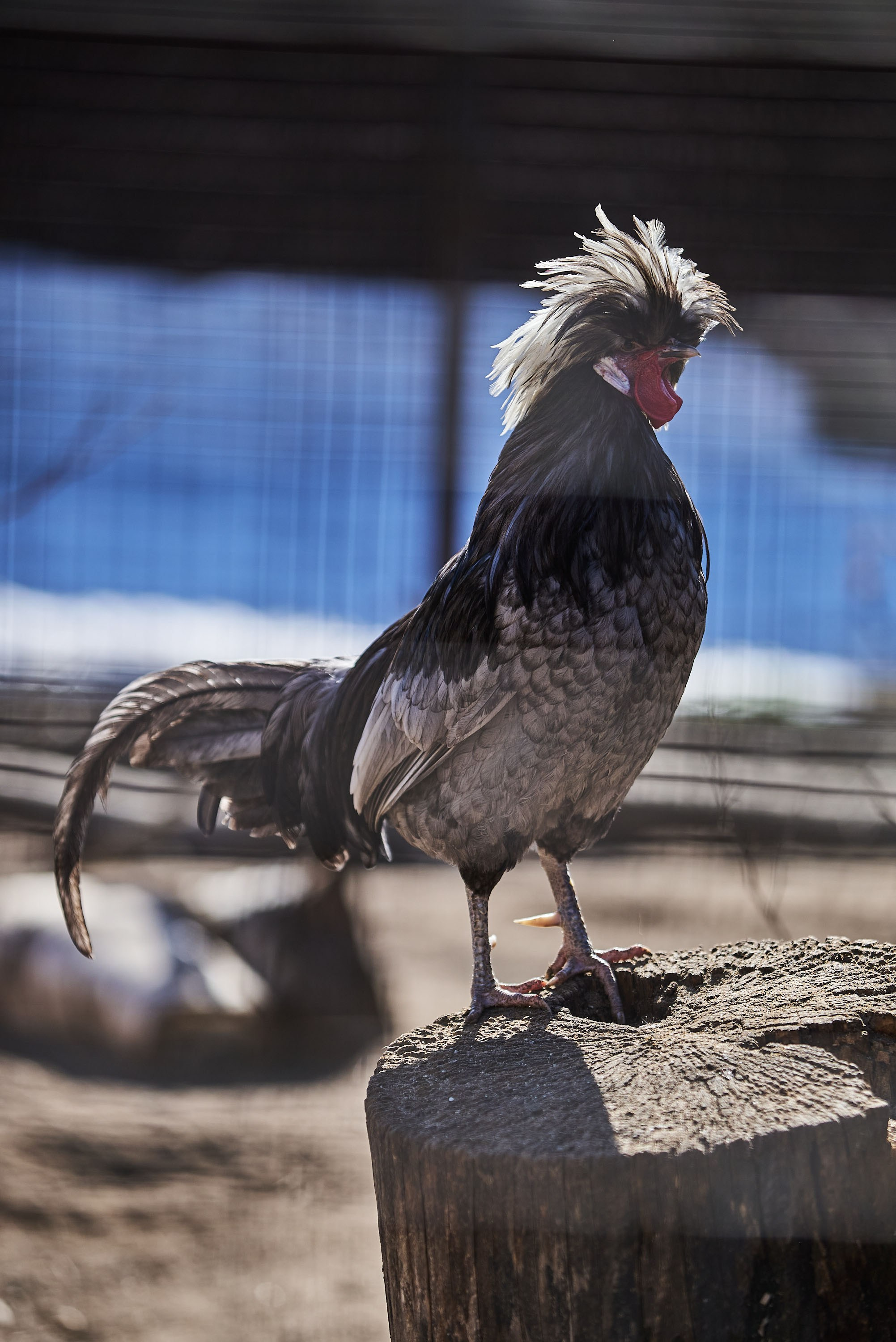 Зоопарк Иваново. Фотограф в Иваново: Каталожная съемка одежды и постельного белья, Wildberries