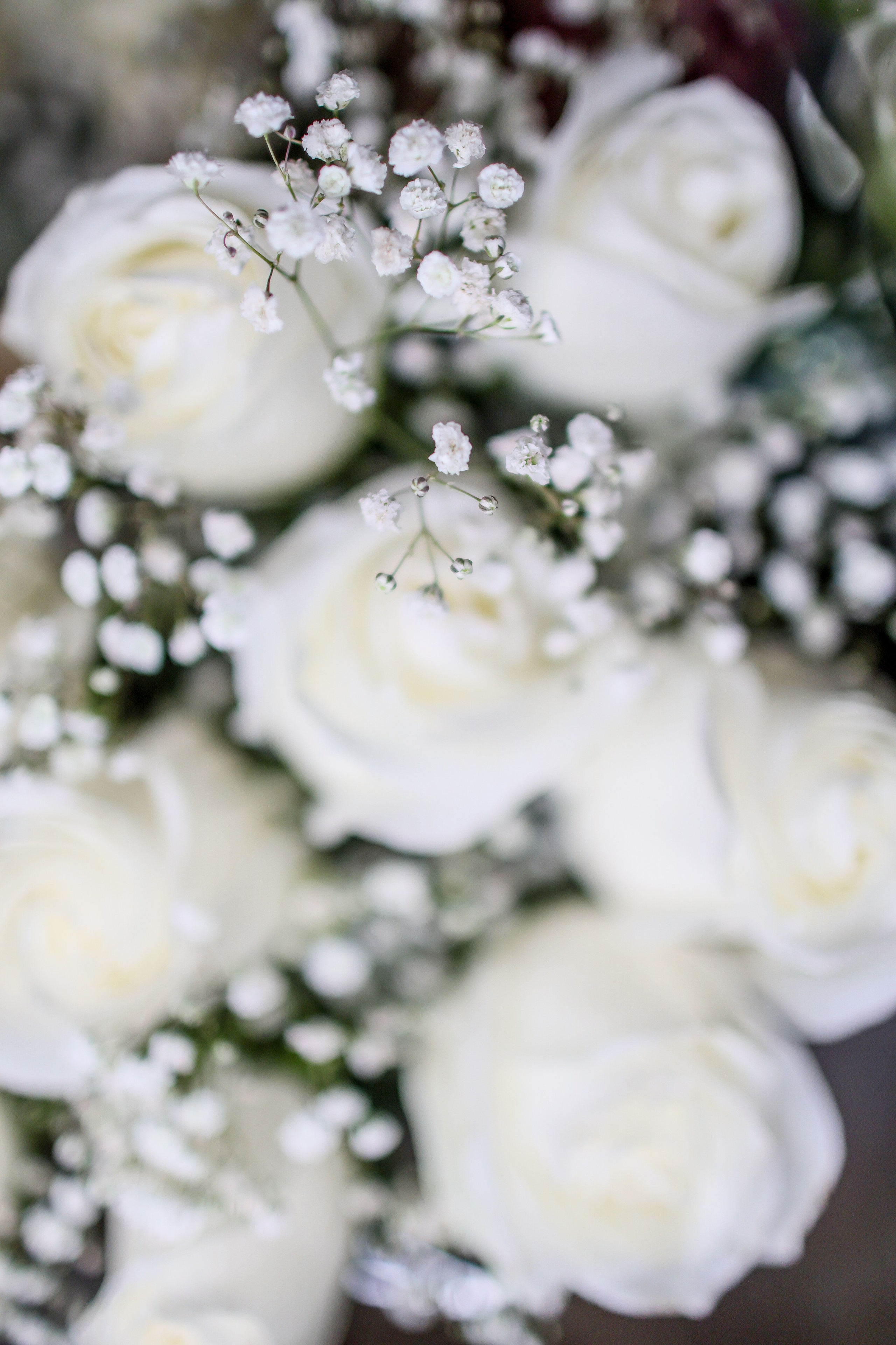 Андрей и Анна. Твой снимок СПб