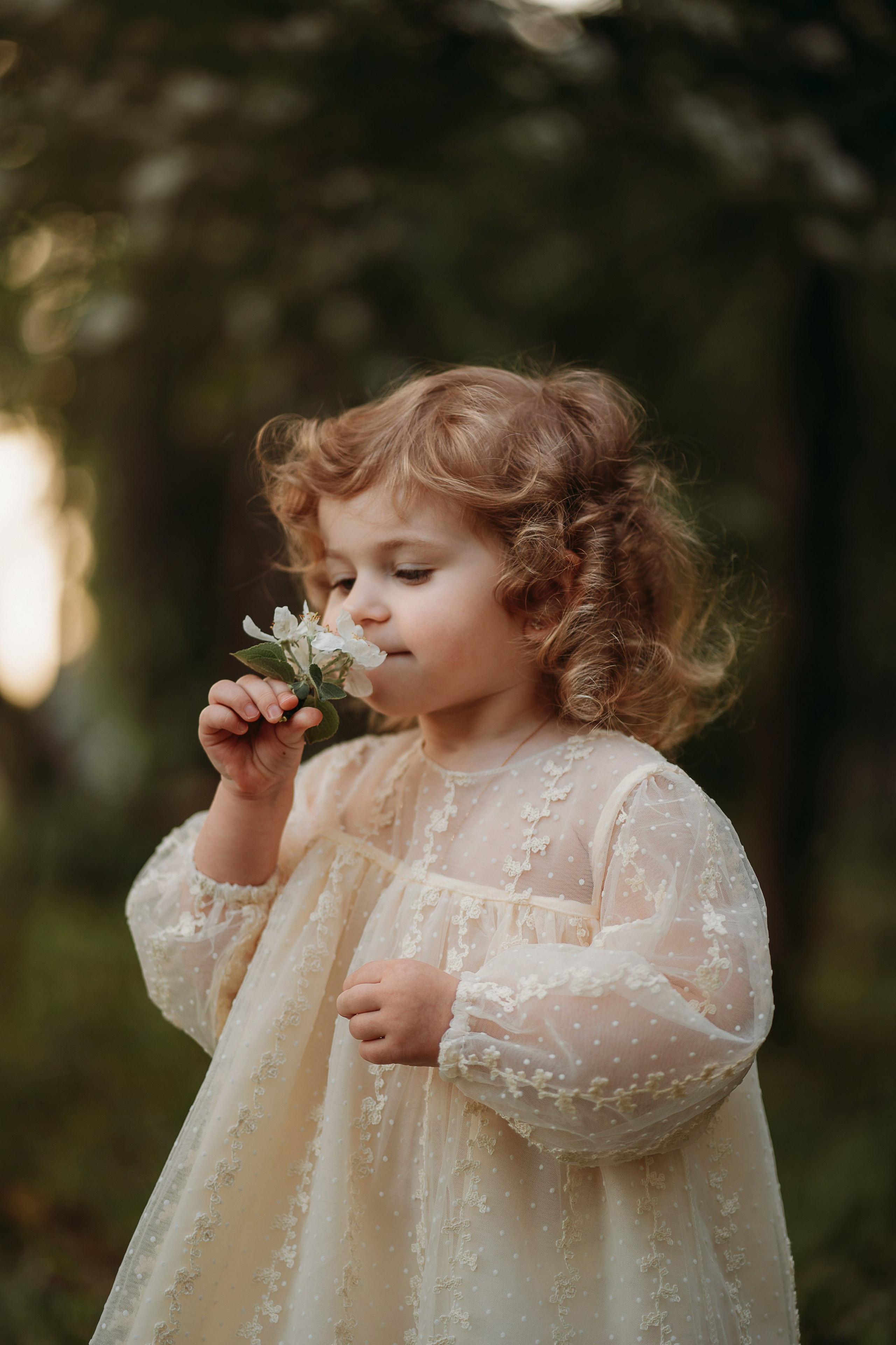 Семейные. Главная