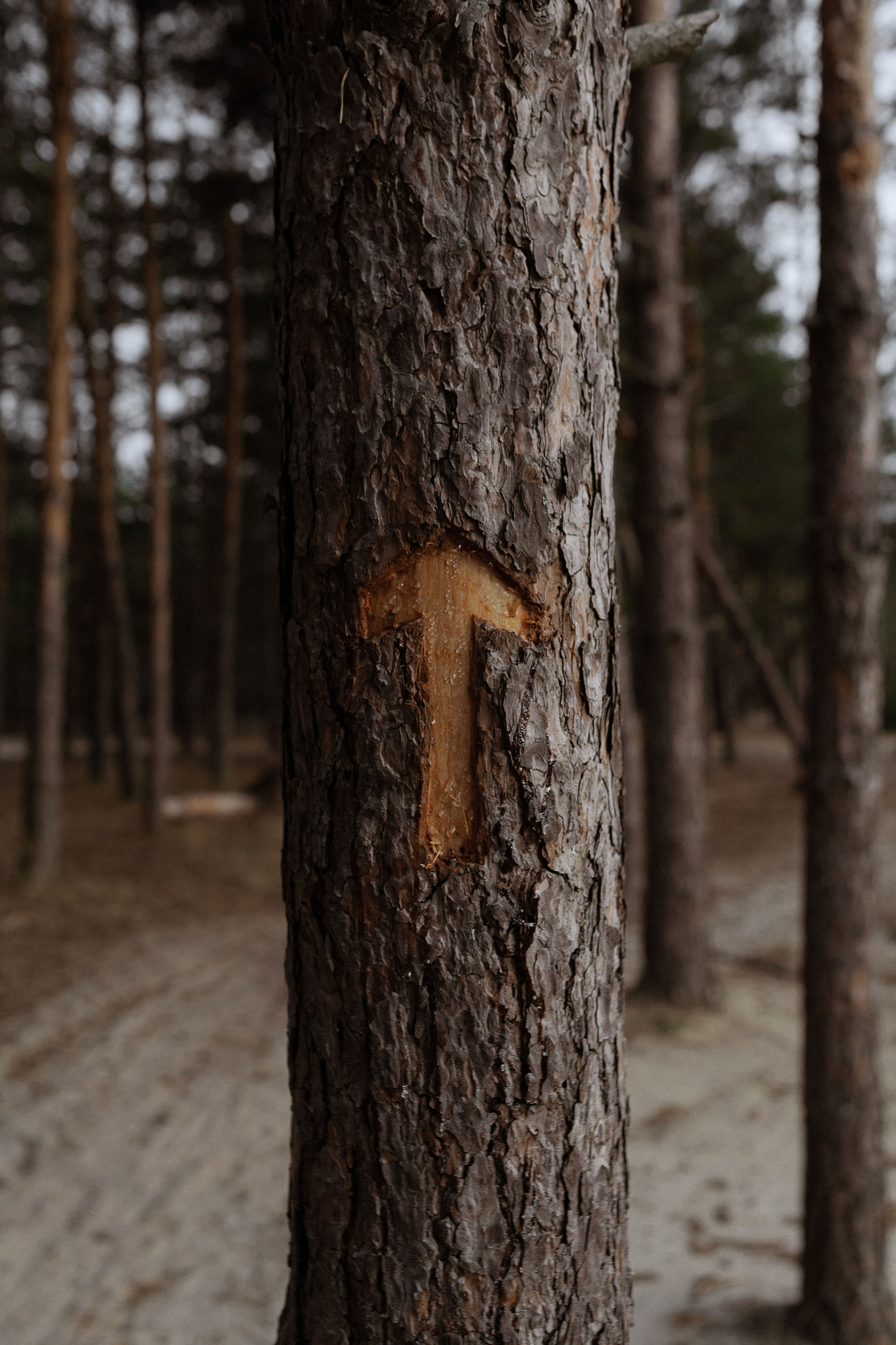 Детский портрет. Меня зовут Филатова Юлия и я фотографирую женский портрет, семейные съемки, детей в МО и Москве