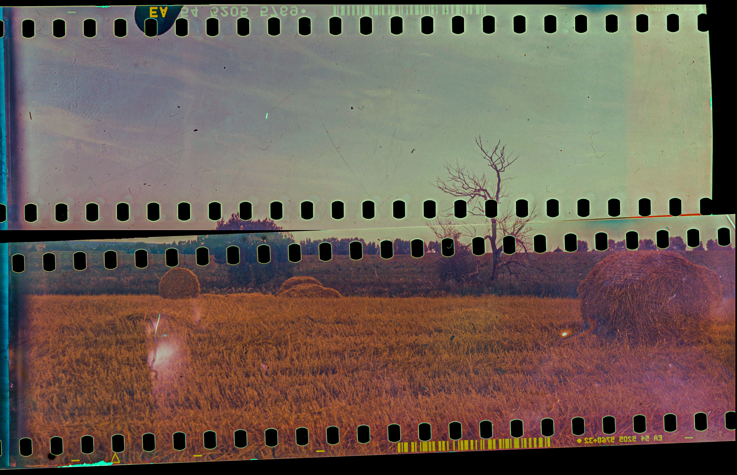 Kodak Ektachrome E100