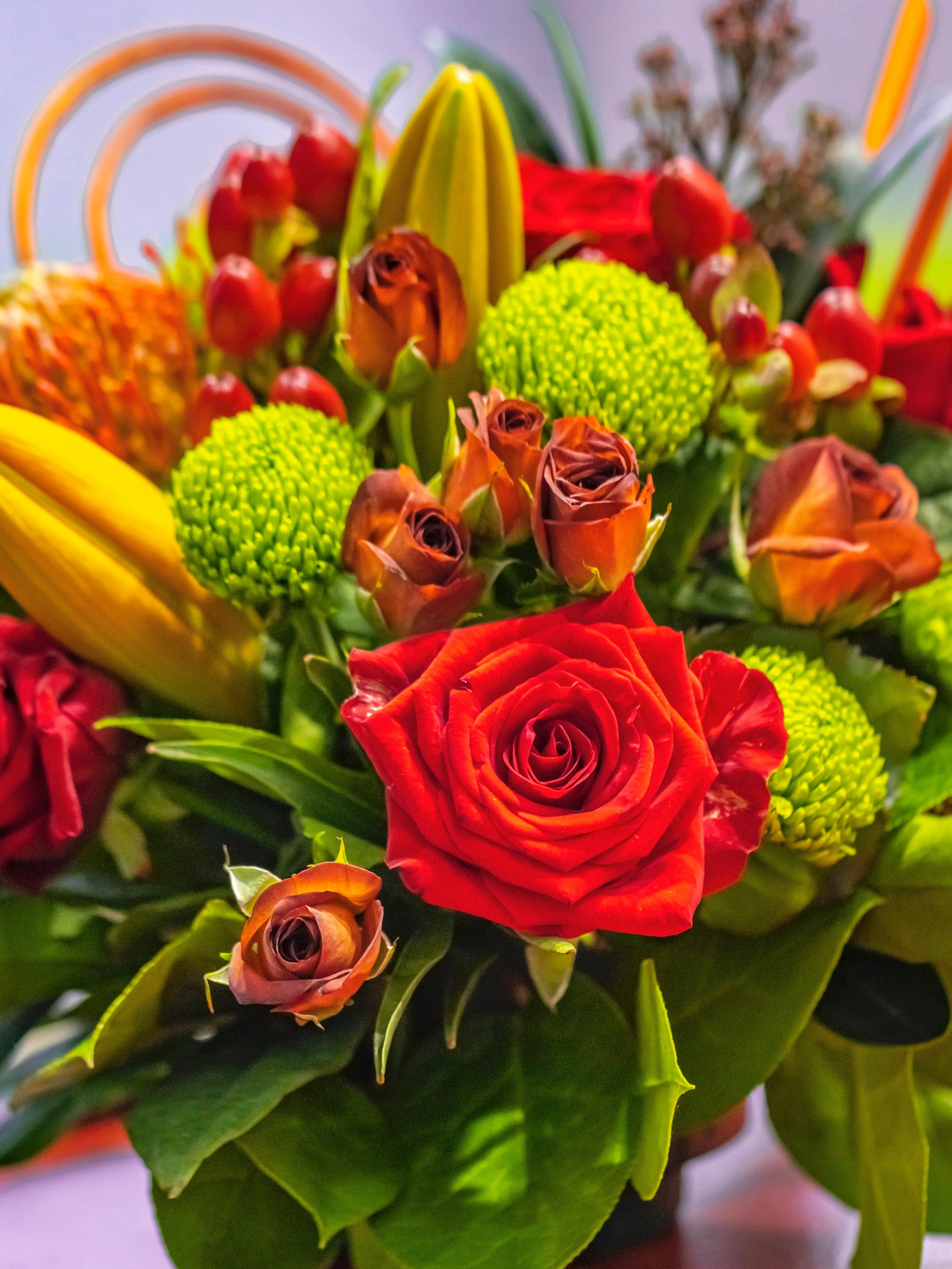 Цветы-Экспо 2023. Фотосессии и репортаж — Фотограф в Москве — Рина Серёгина