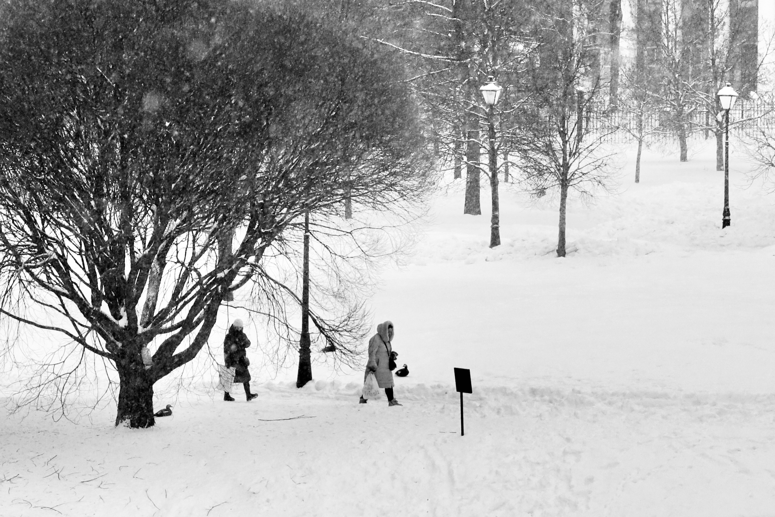 Чёрно-белая зима 25-26. Фотосессии и репортаж — Фотограф в Москве — Рина Серёгина