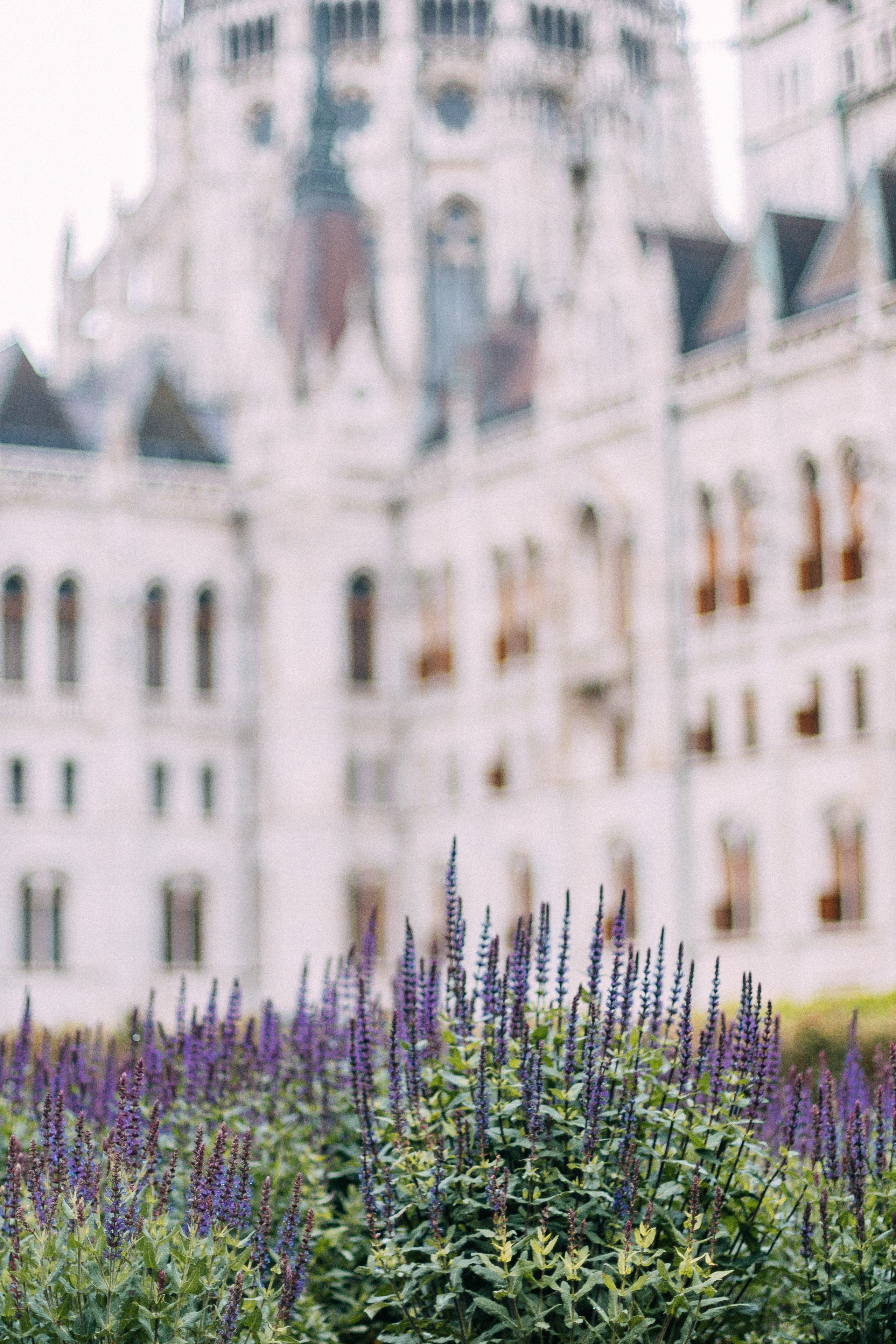 Будапешт. Аня Степанова