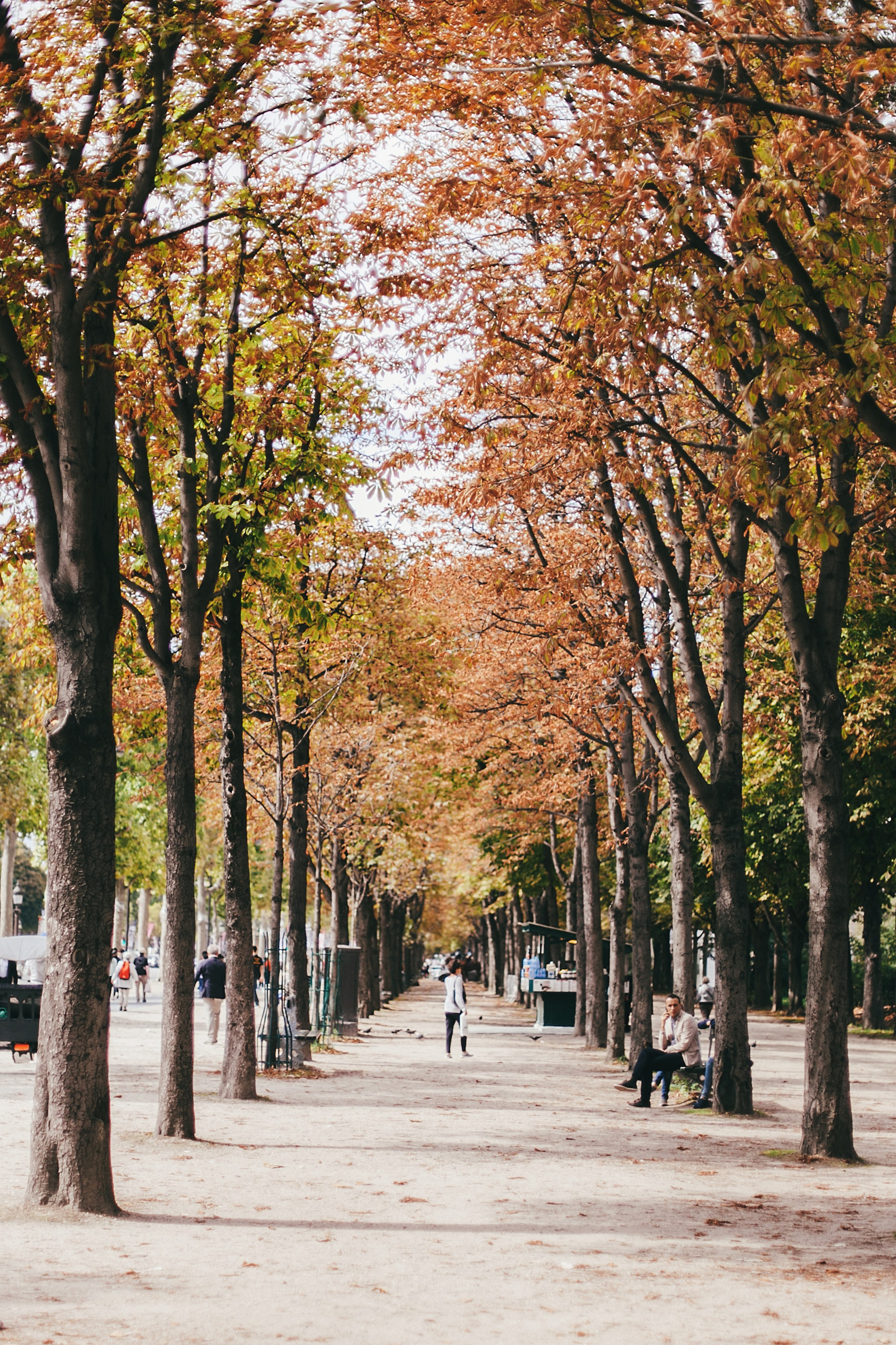 Париж. Аня Степанова