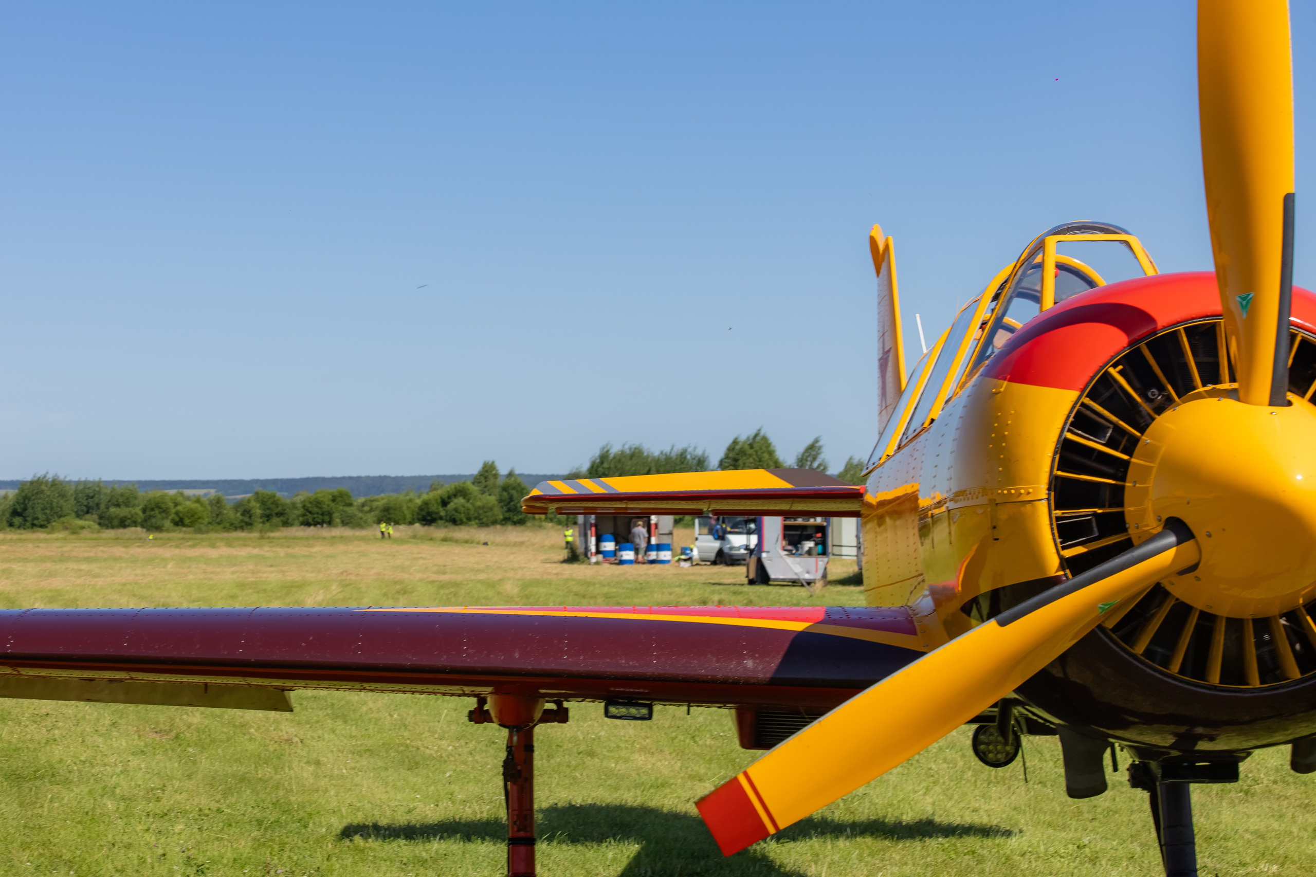 Крылья Пармы 2025 г. KATERINA VINOKUROVA ФОТОГРАФ ПЕРМЬ