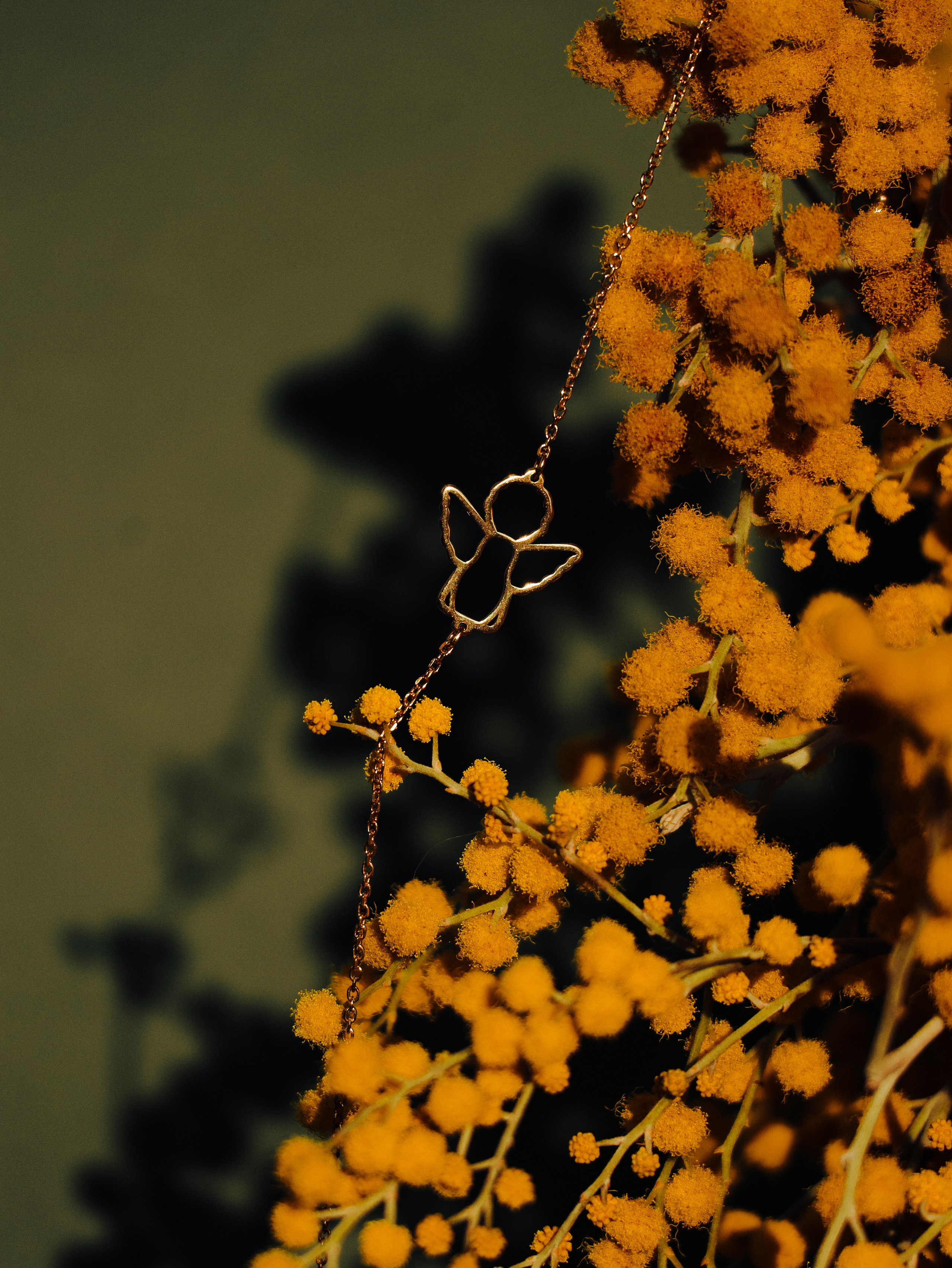 Предметная съёмка. Кинематографичный фотограф, видеограф Лина Плешакова, Санкт-Петербург