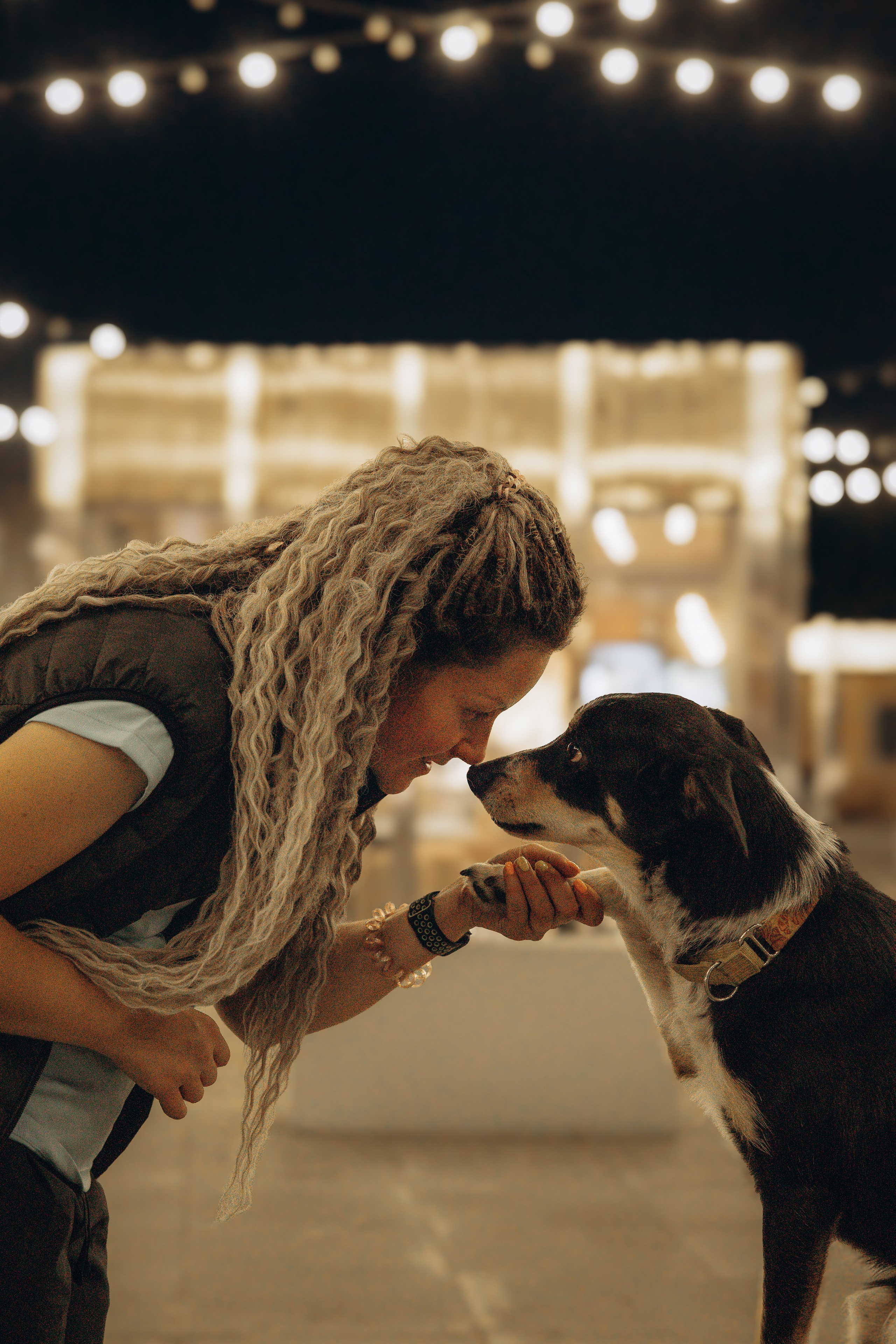 Алла и ее компания. Фотограф анималист в Казани Алина Сулейманова. Фотограф животных