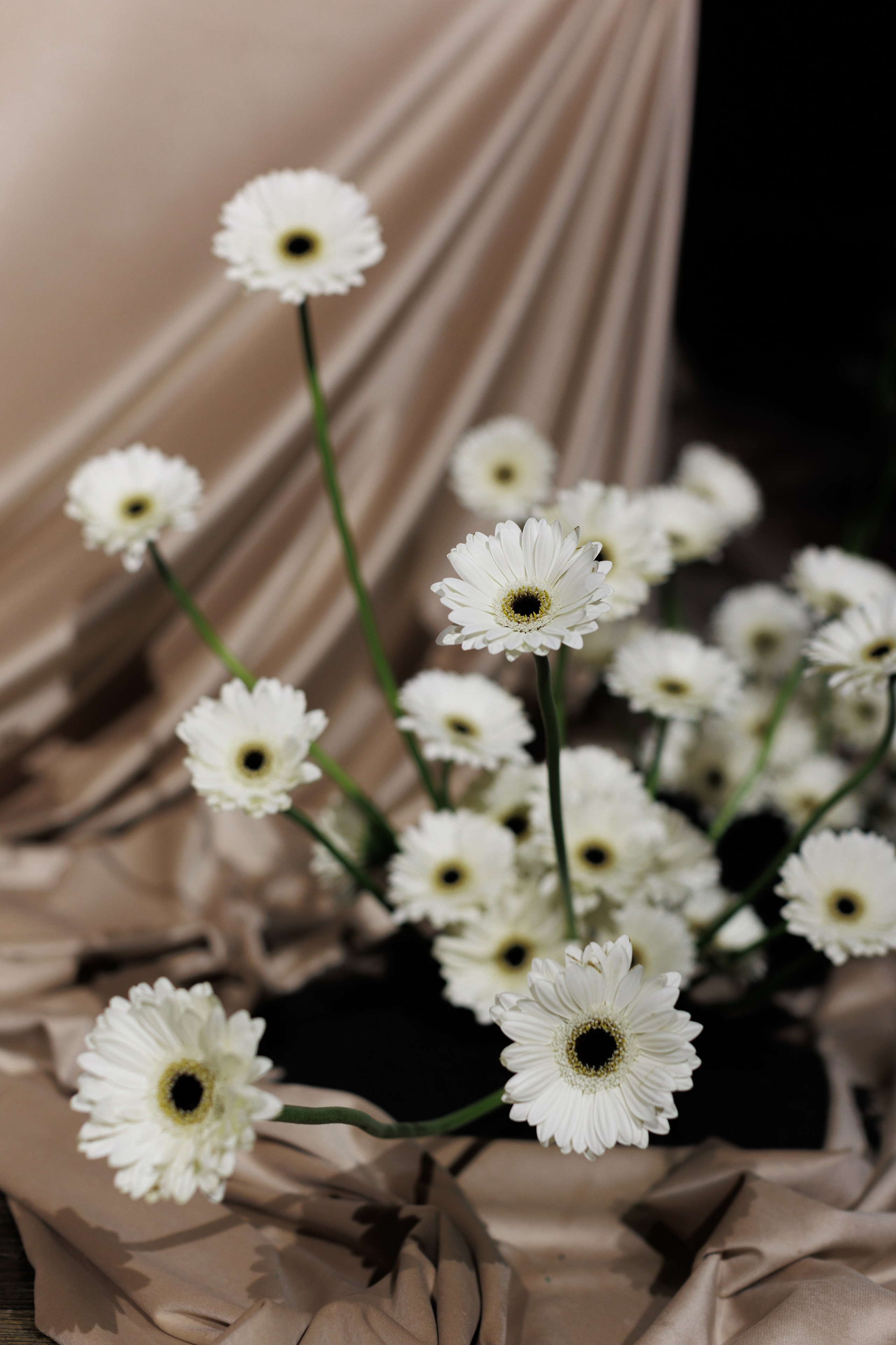 П & A. Свадебный фотограф Екатерина Тимукина