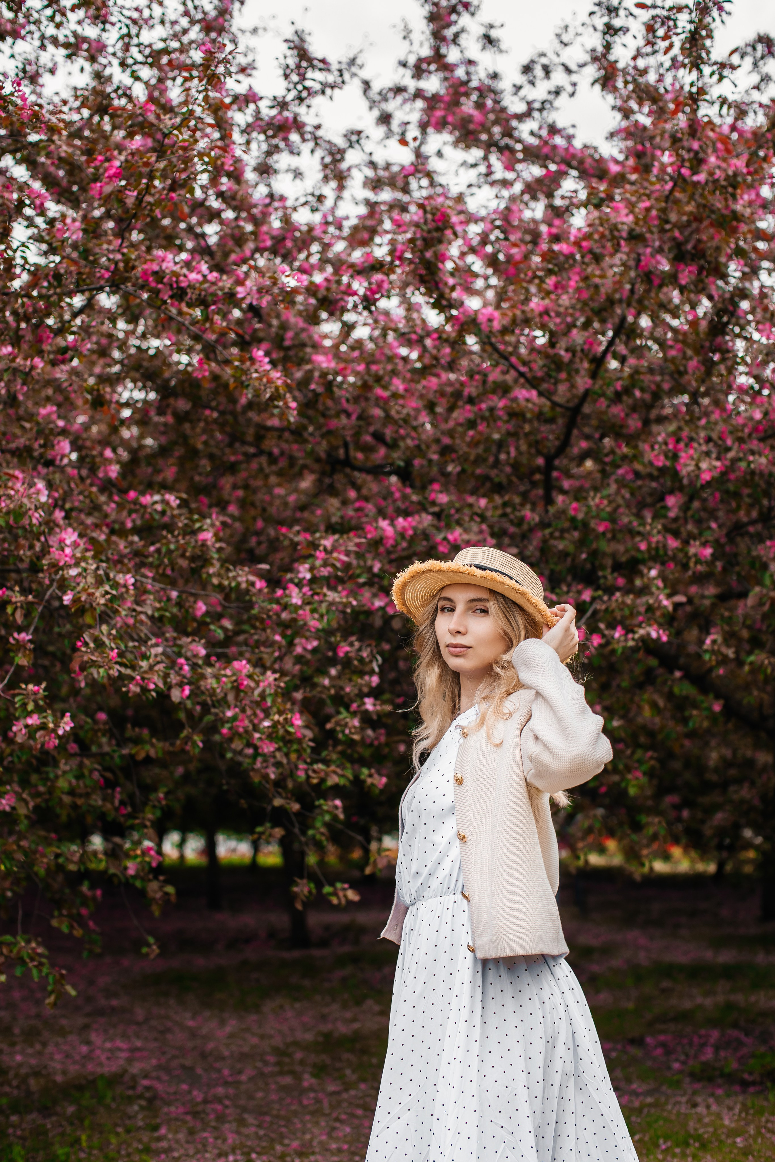 Цветение. Анастасия Давыдова