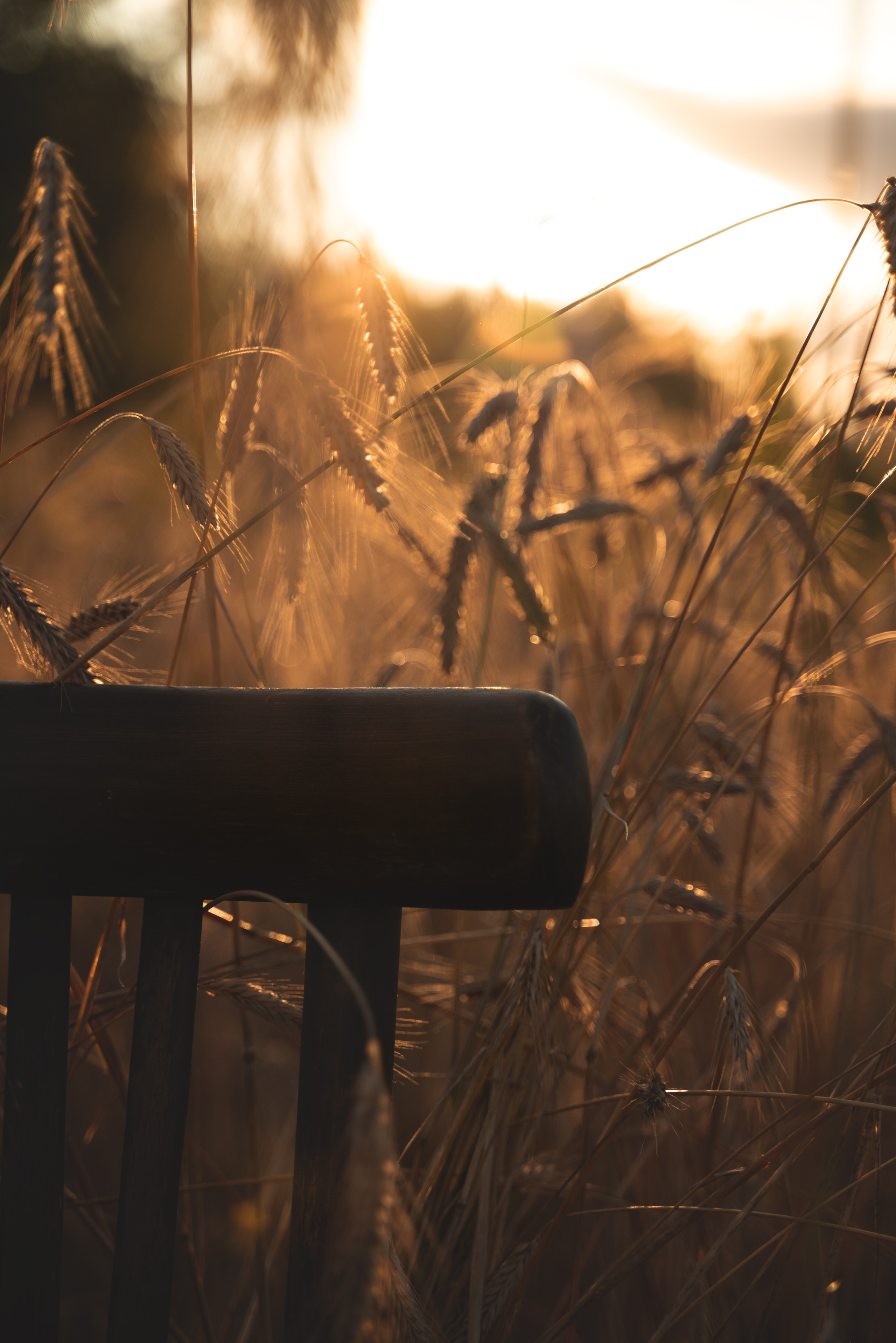 Поля. Выпускные альбомы Москва и МО. Школьный и семейный фотограф