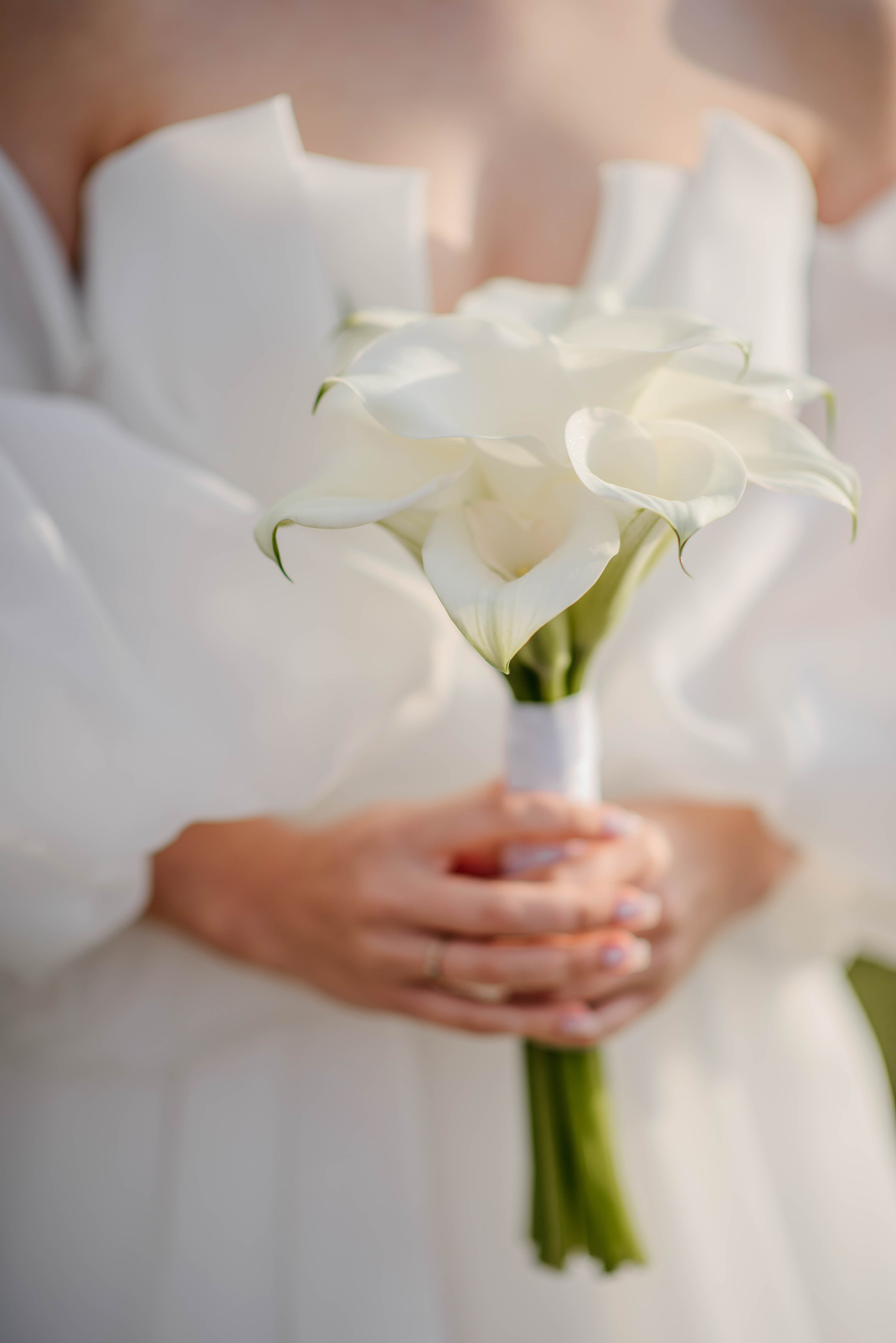 Kuskovo. Свадебный и семейный фотограф в г. Москва Ирина Гаврилова