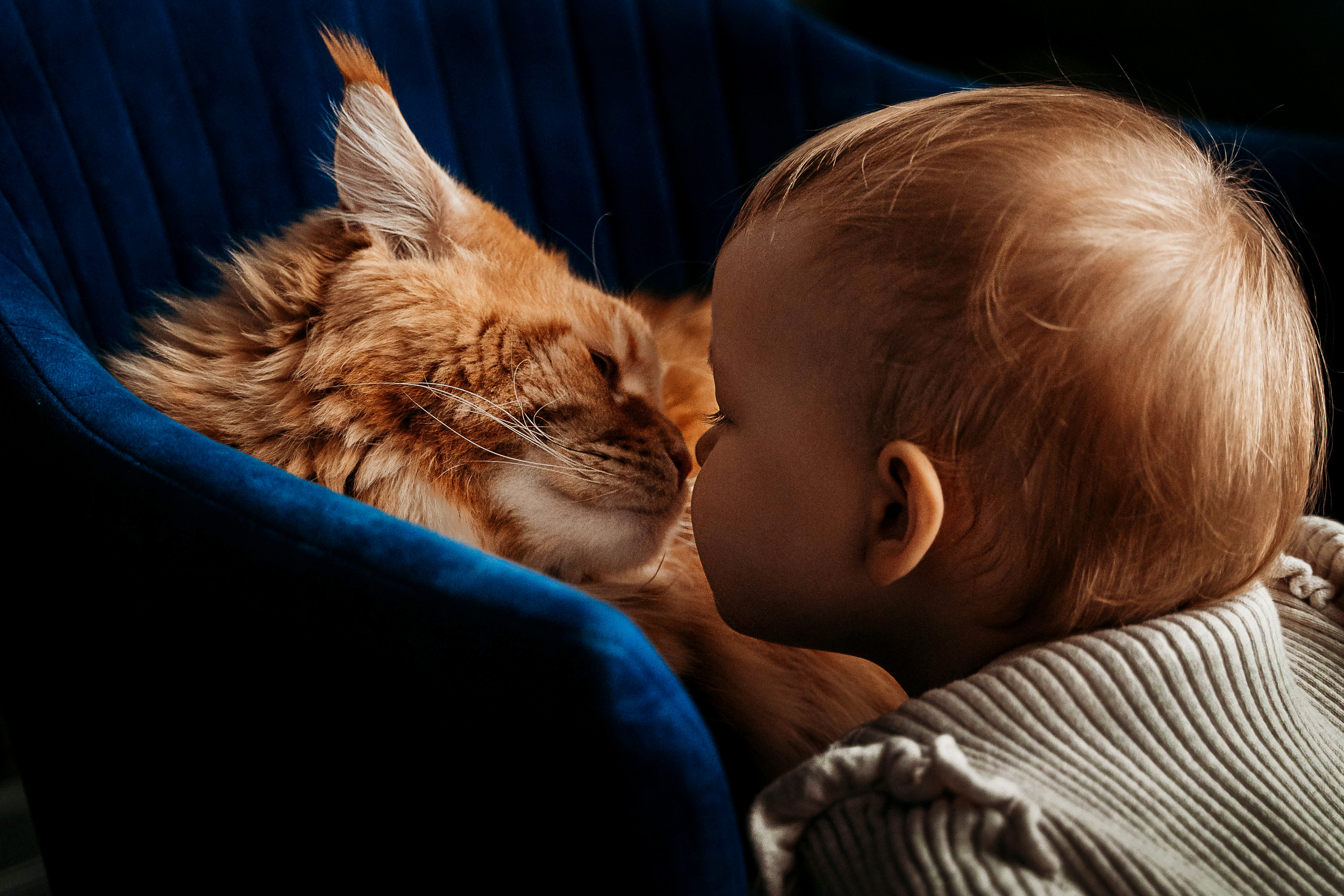 Иннокентий, Алёна, Эмилия. Детский и семейный фотограф в Москве Алёна Шестунова