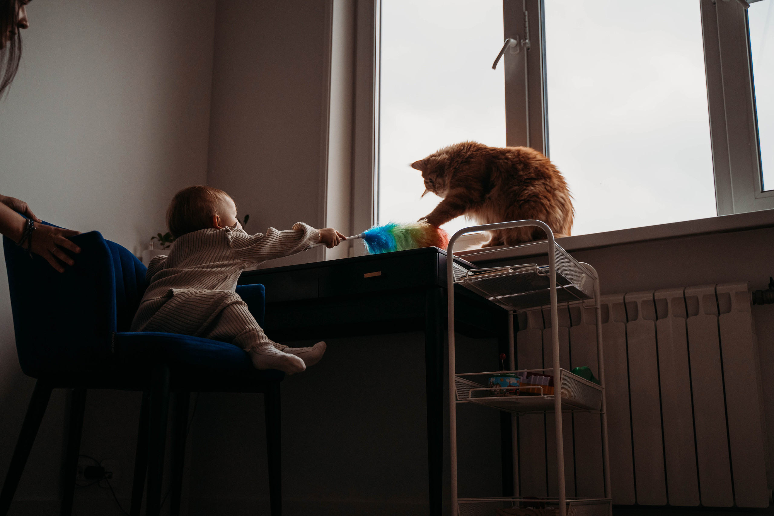 Иннокентий, Алёна, Эмилия. Детский и семейный фотограф в Москве Алёна Шестунова