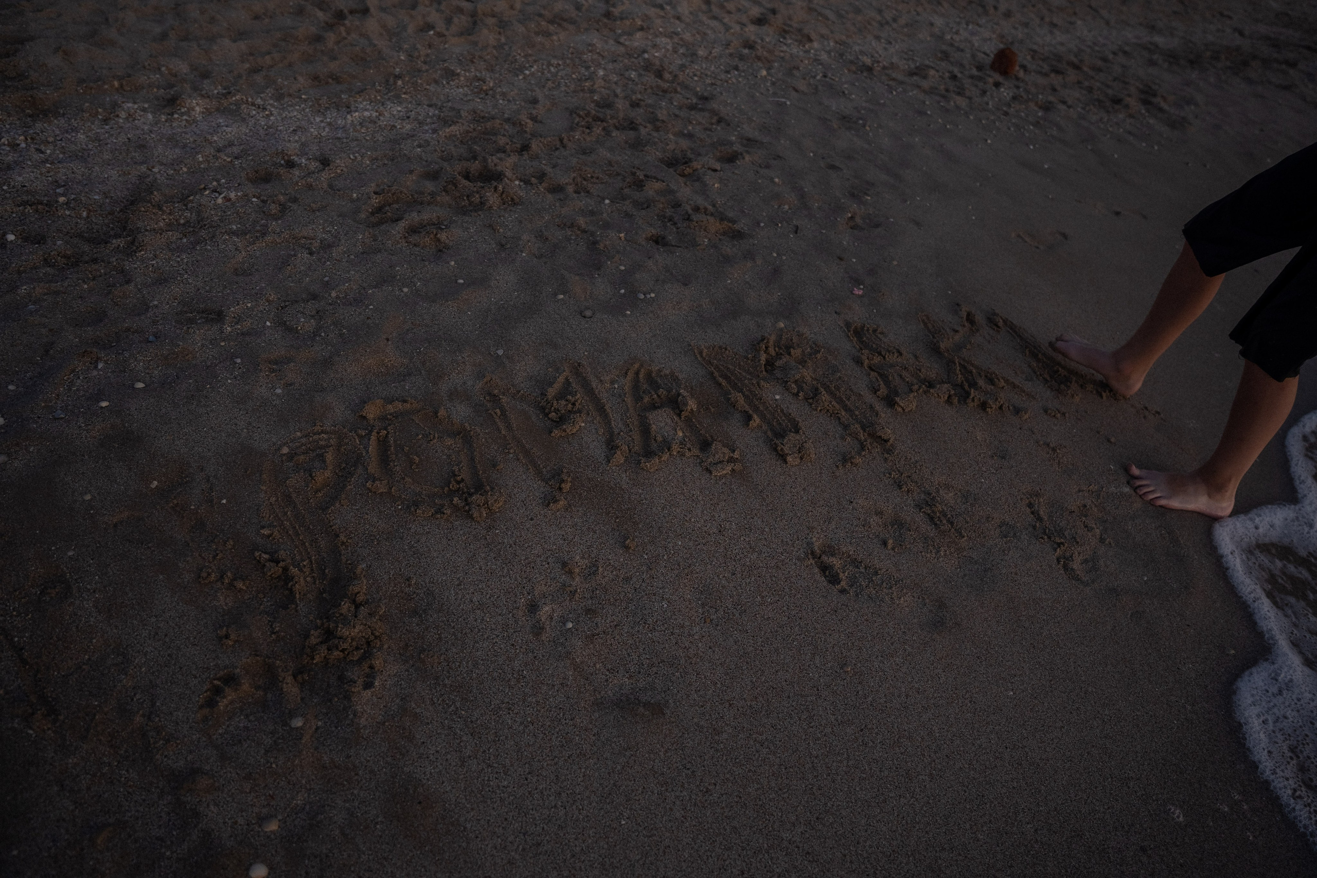 Летние зарисовки