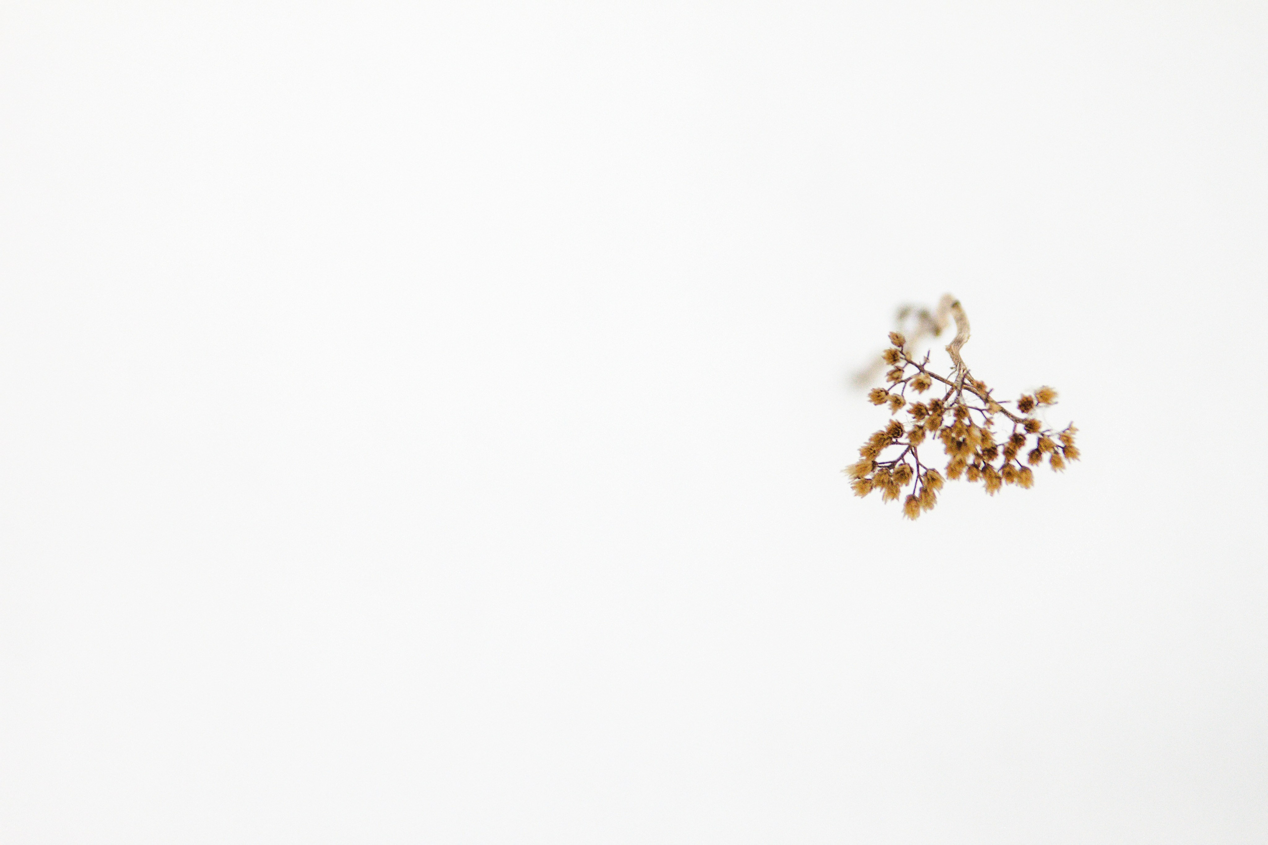 Этот прекрасный мир