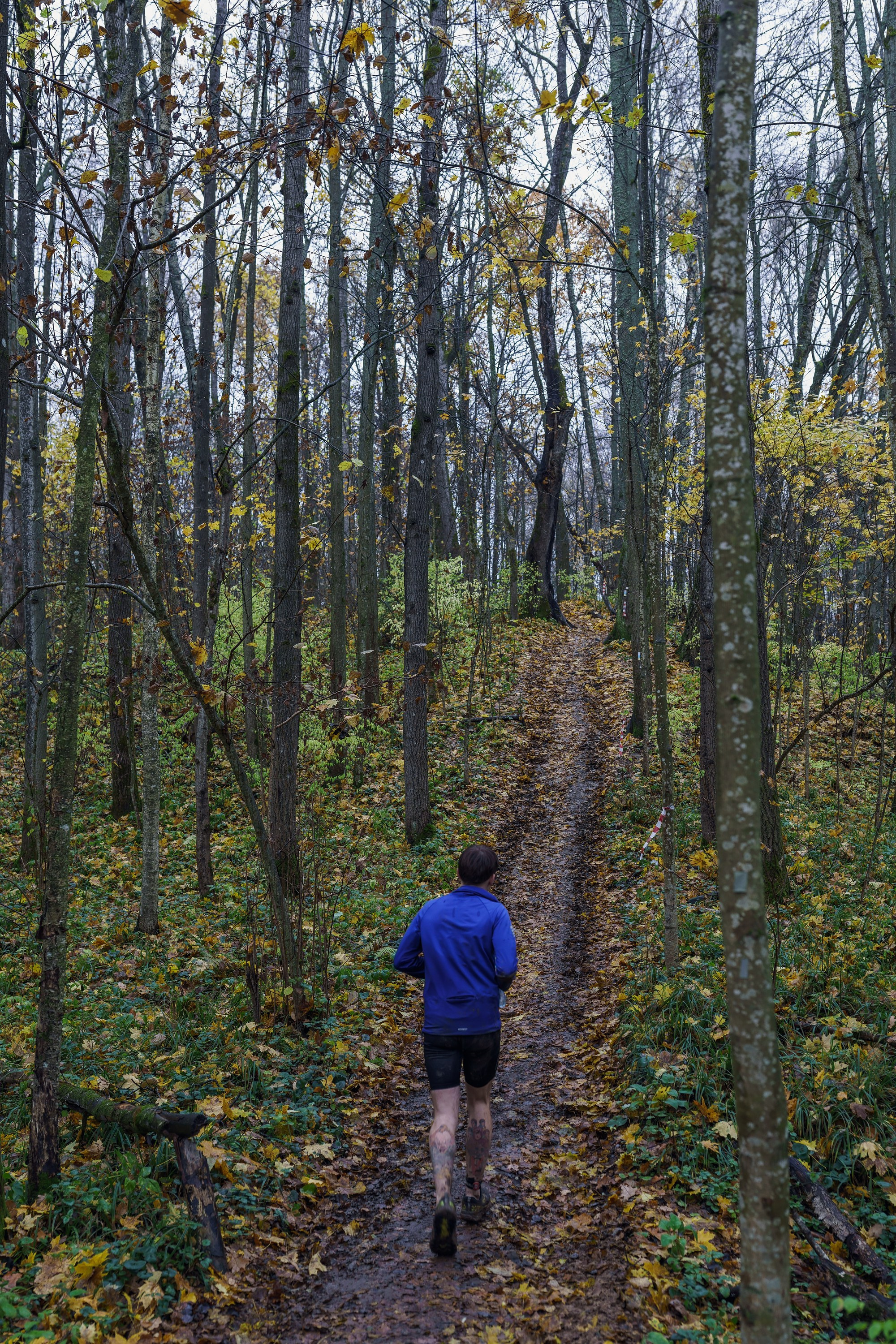 Фотографии Трейл Кутузов 2025. Фотограф спортивные события, недвижимость, турбизнес