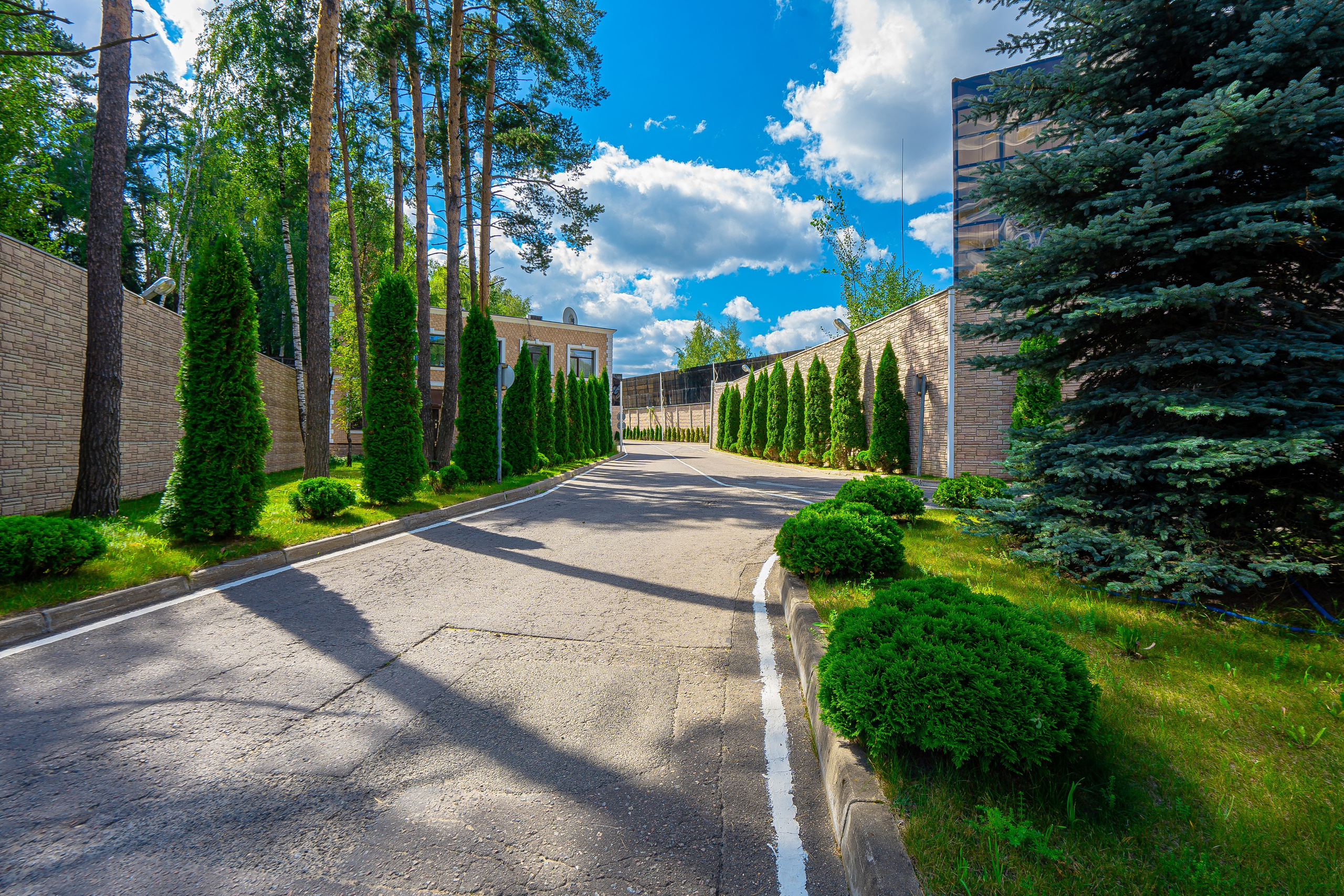 Счастливая. AEprod 📸 Фото | 3D туры | Видео | Озвучивание