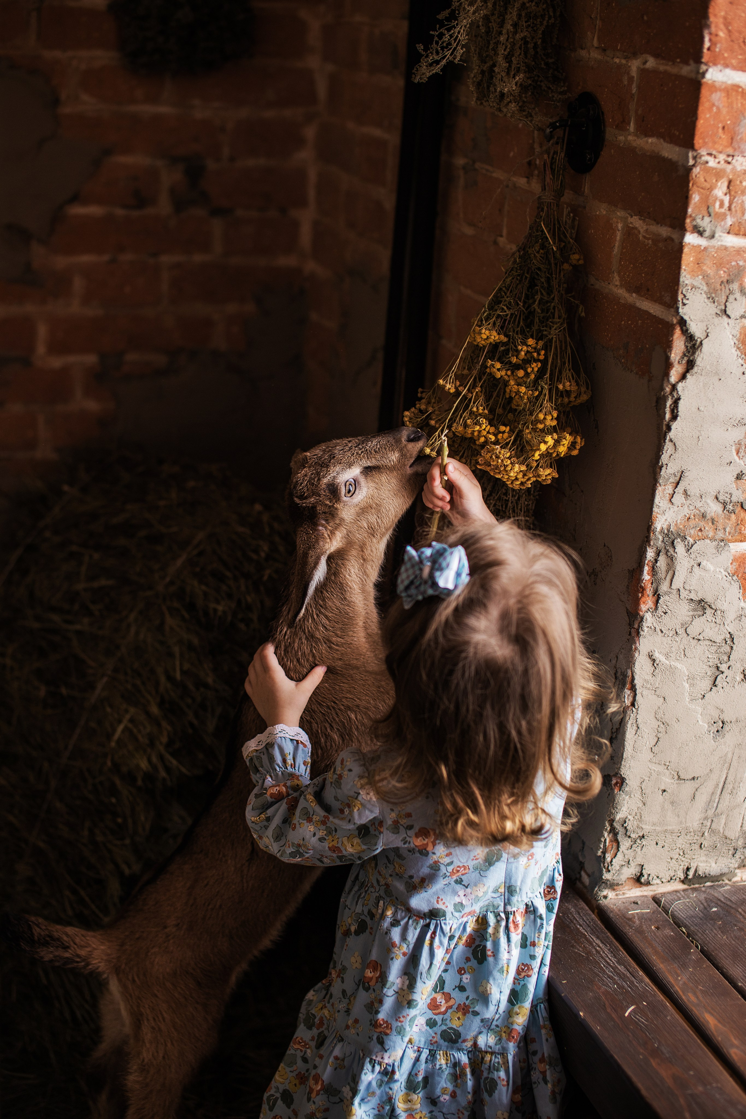 Дети и животные…самый милый альбом. Семейный фотограф в Саратове