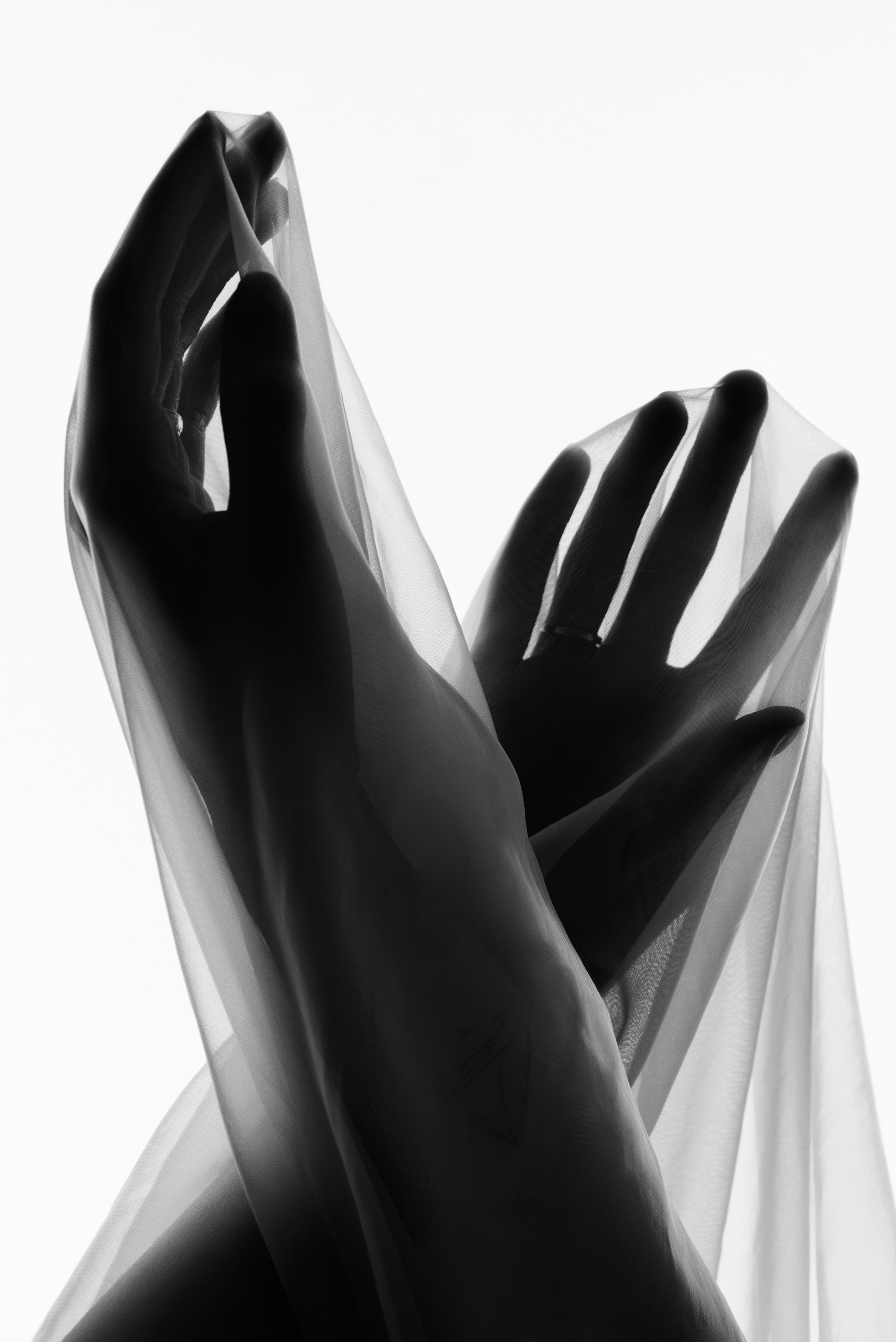 Искусство линии и света