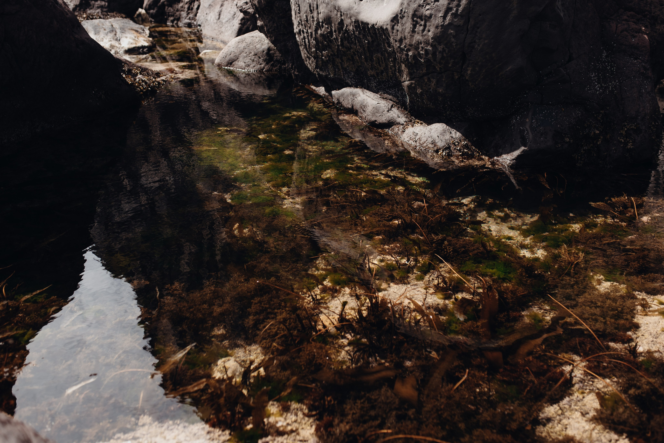 Авторский тур «Оля, куда завтра?!» 2024. Фотограф Итуруп | Курильские острова