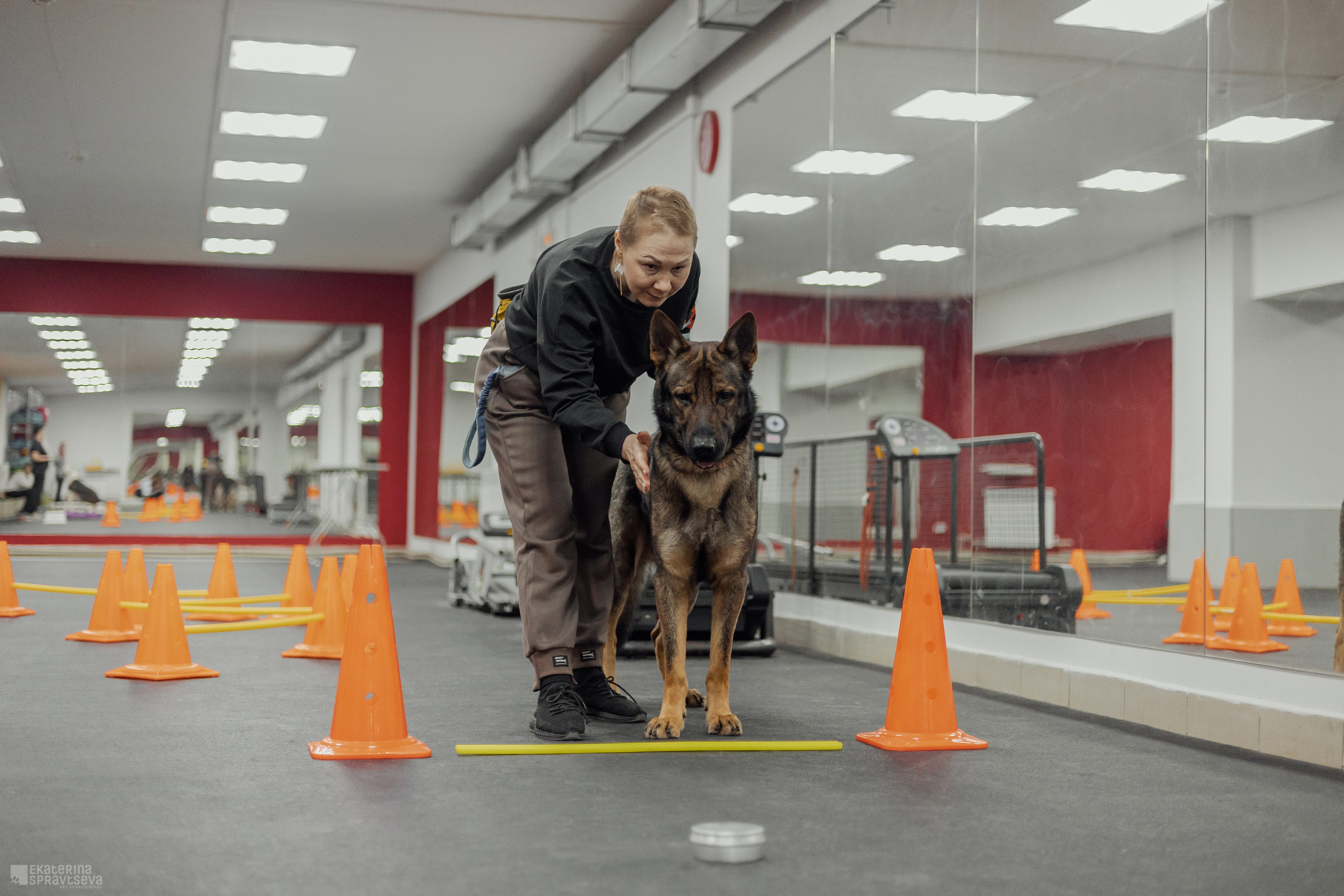 NoseWork. Фотограф Анималист Екатерина Справцева в Нижнем Новгороде