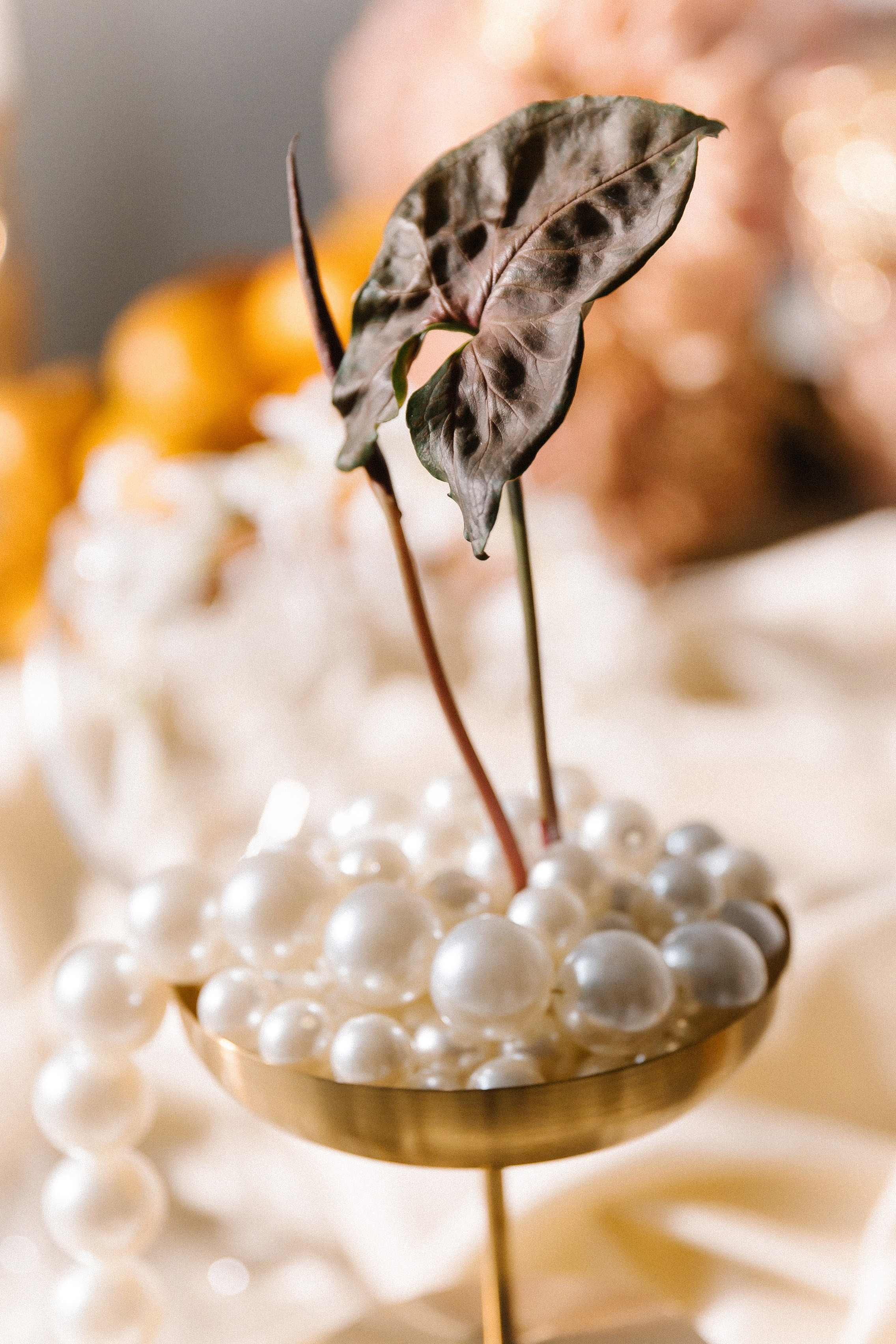 Season of soul. Фотограф Краснодар Юлия Бураченко Свадьбы Репортаж Семейные Индивидуальные съемки