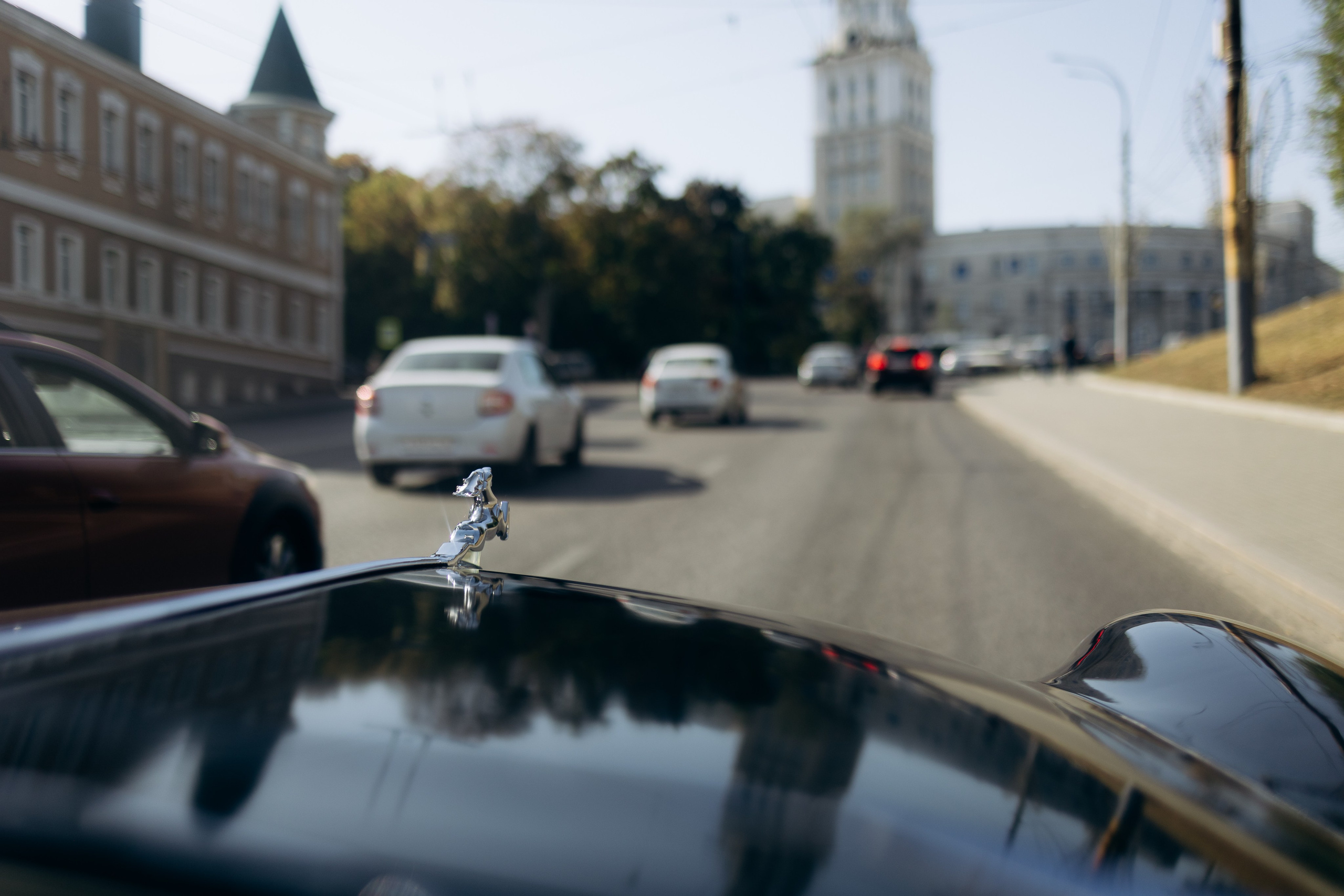 Даша & Максим. Фотограф и преподаватель по фотографии в Воронеже Олеся Микерова