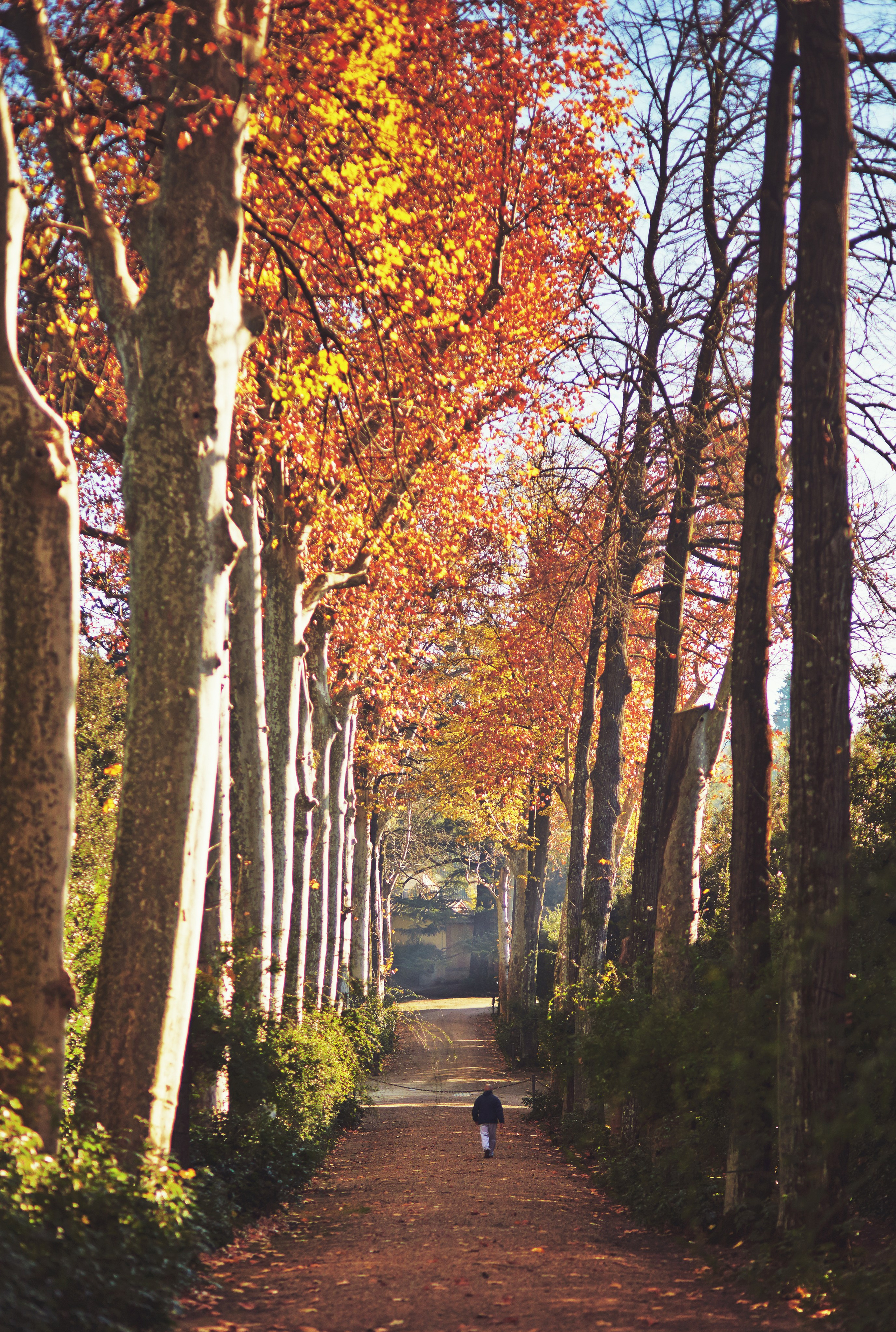 Флоренция. Рекламный коммерческий фотограф в Москве Владимир Лукьянов