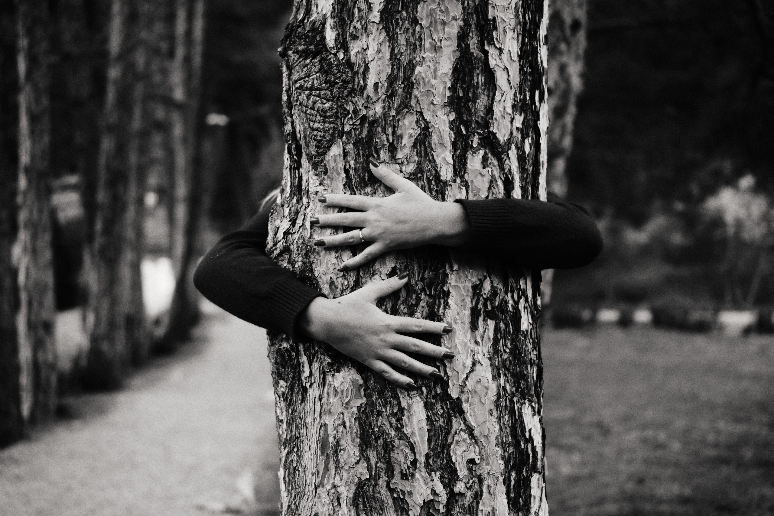 История о тебе. Таня Чернова