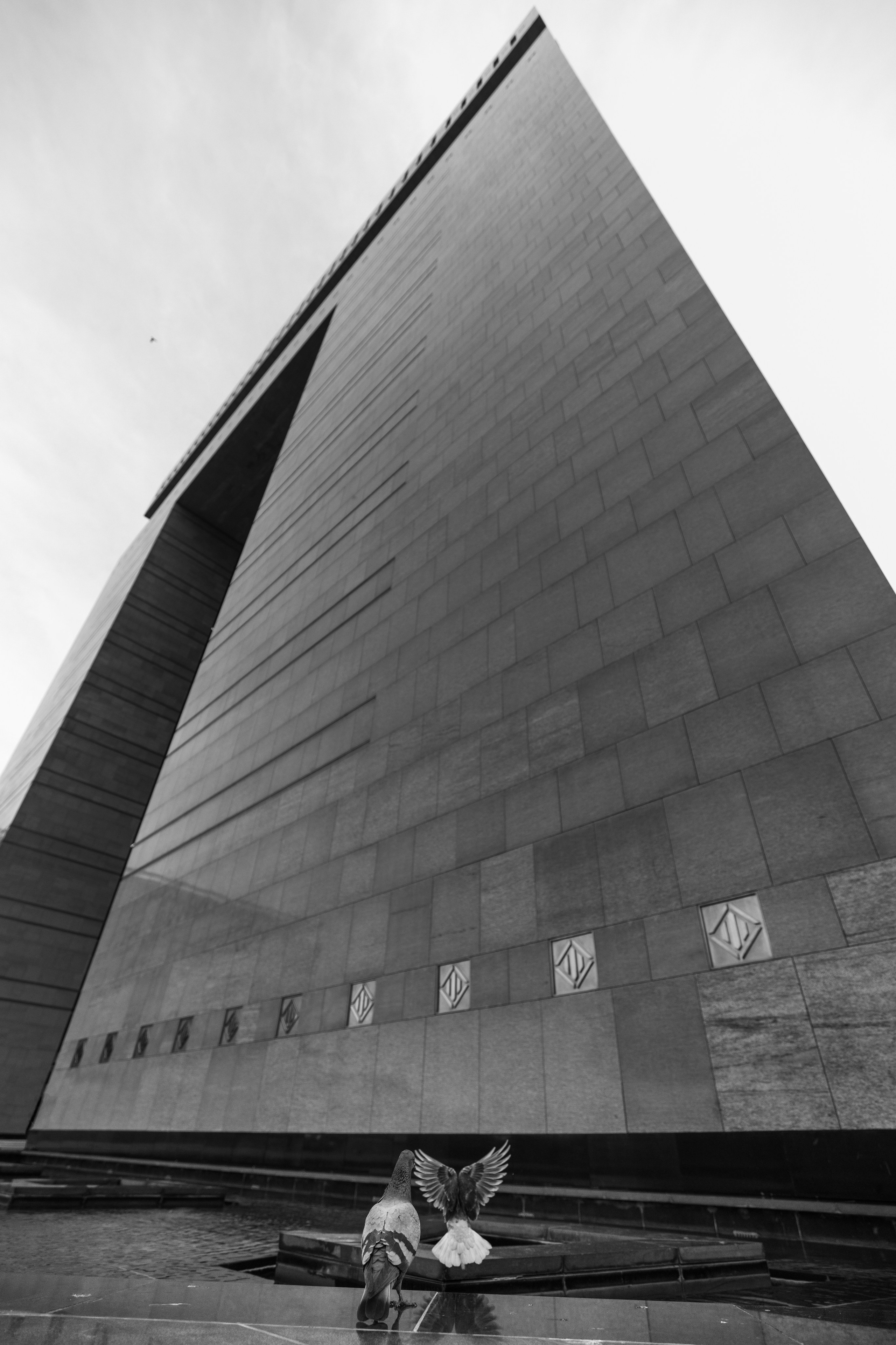 Дубай 2023. Руслан Плахтеев