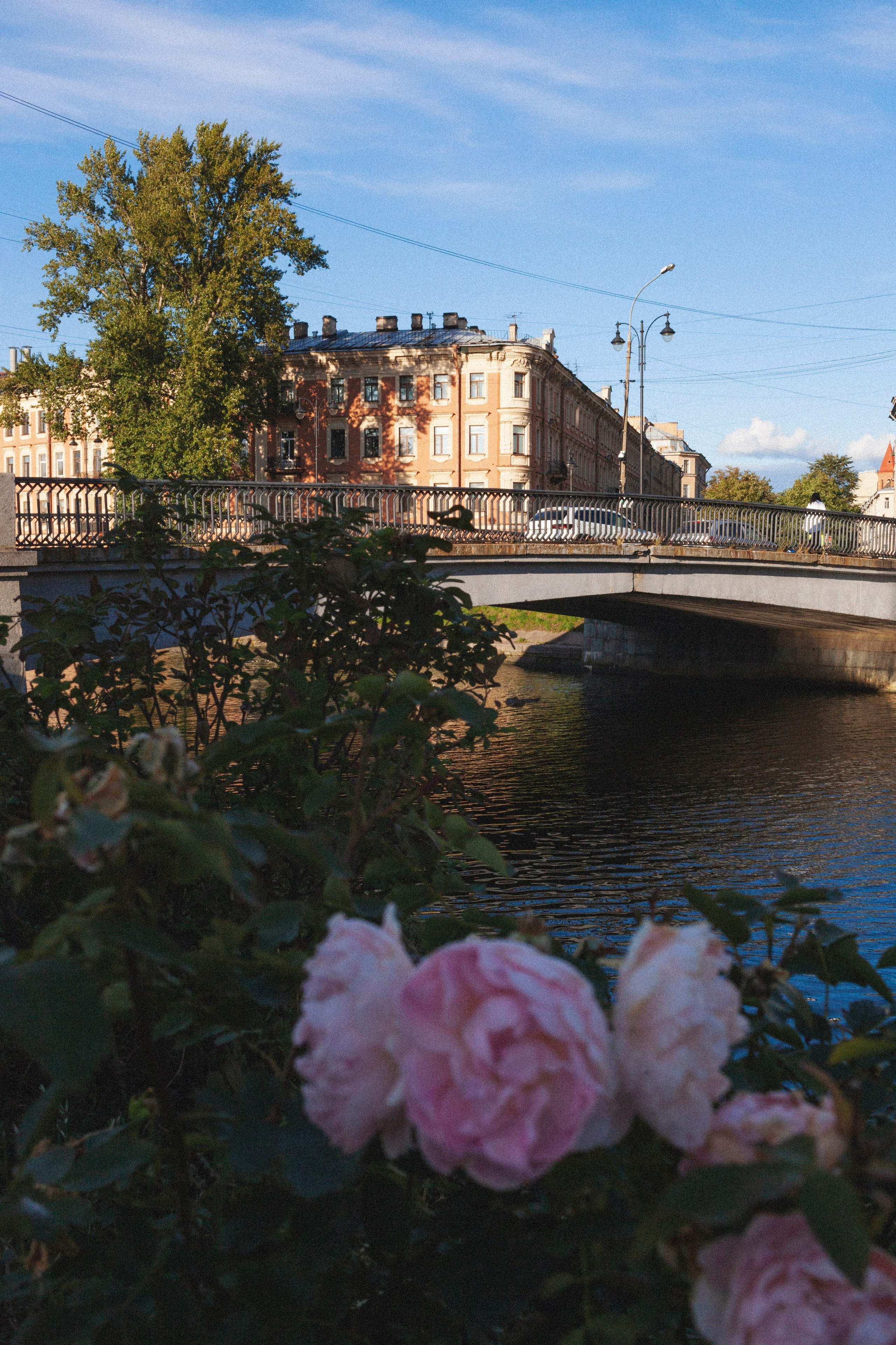Фотовыставка в Санкт-Петербурге "А где ты гулешь с собачкой, если живешь в центре?"