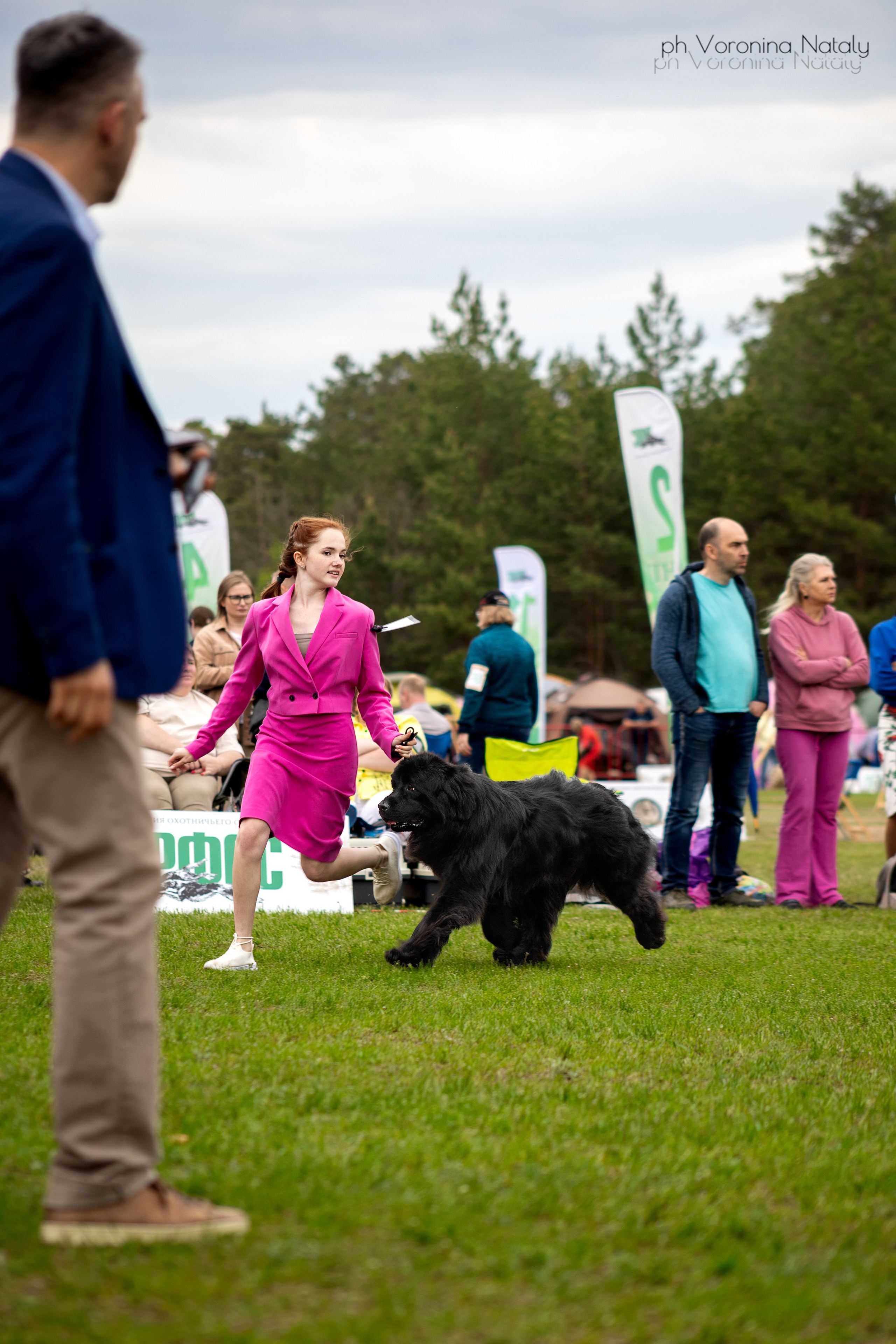 Анимализм г. Владимир. Воронина Наталия — индивидуальный и свадебный фотограф в Рязани