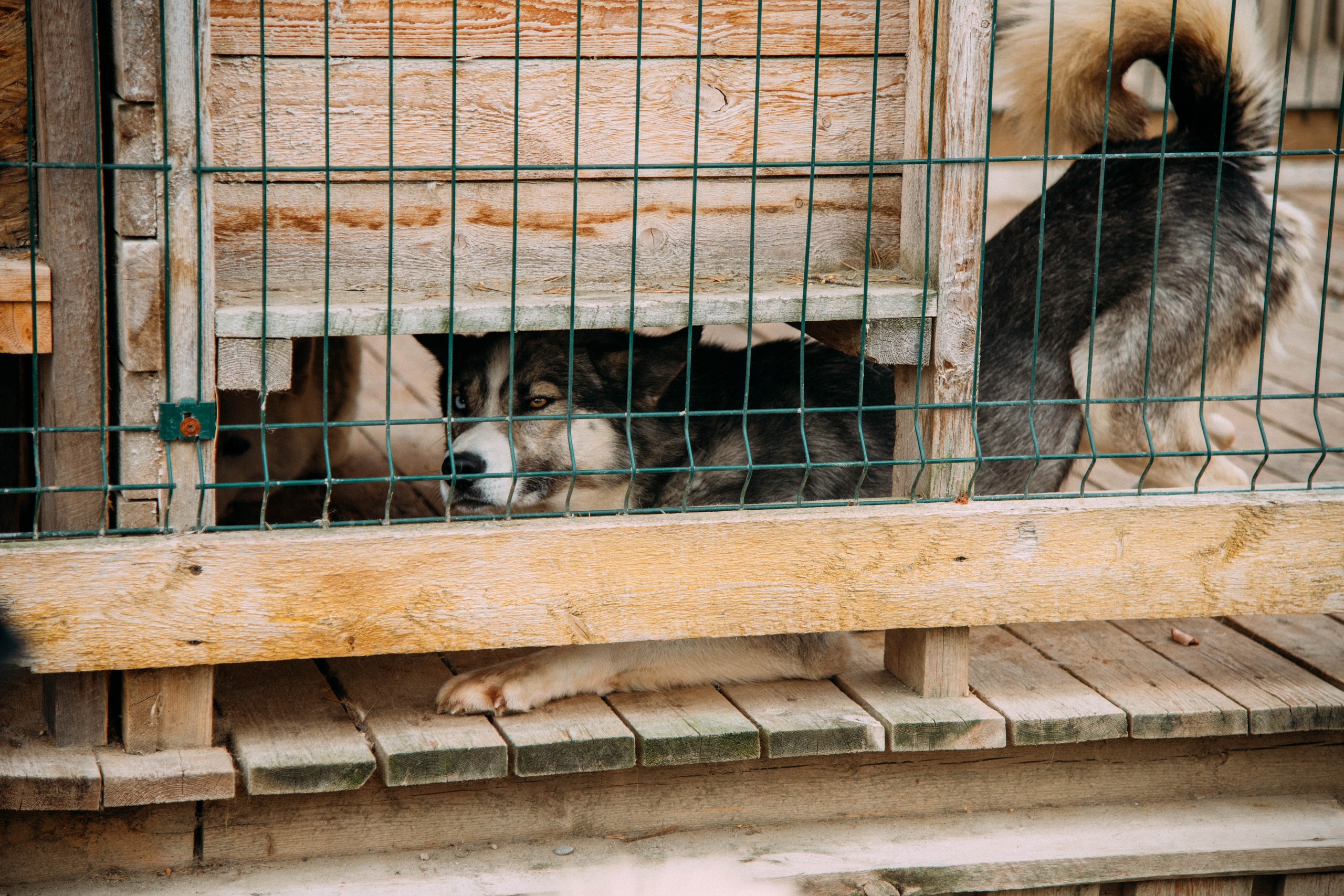 Кольский полуостров. Фотографирую для себя, своей семьи и друзей!