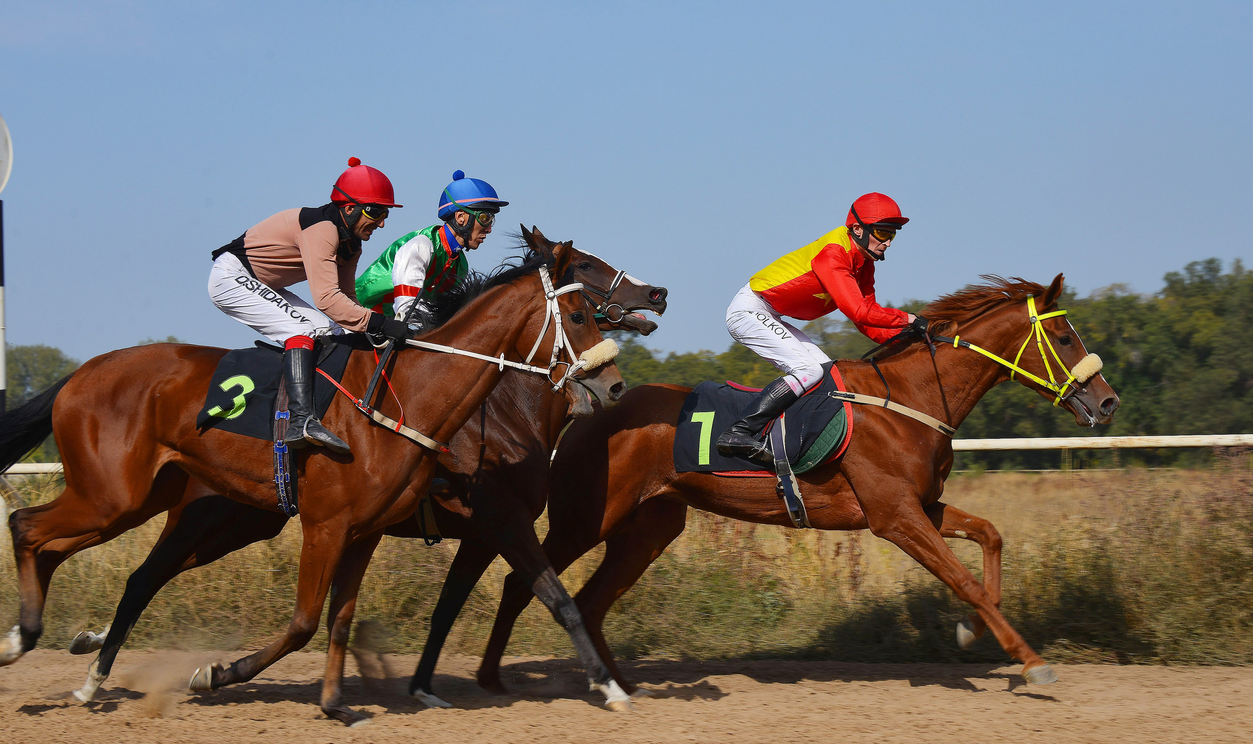 Скачки. Фотосъёмка. Фотограф Сергей Авдеев-семейный и детский фотограф в Алматы