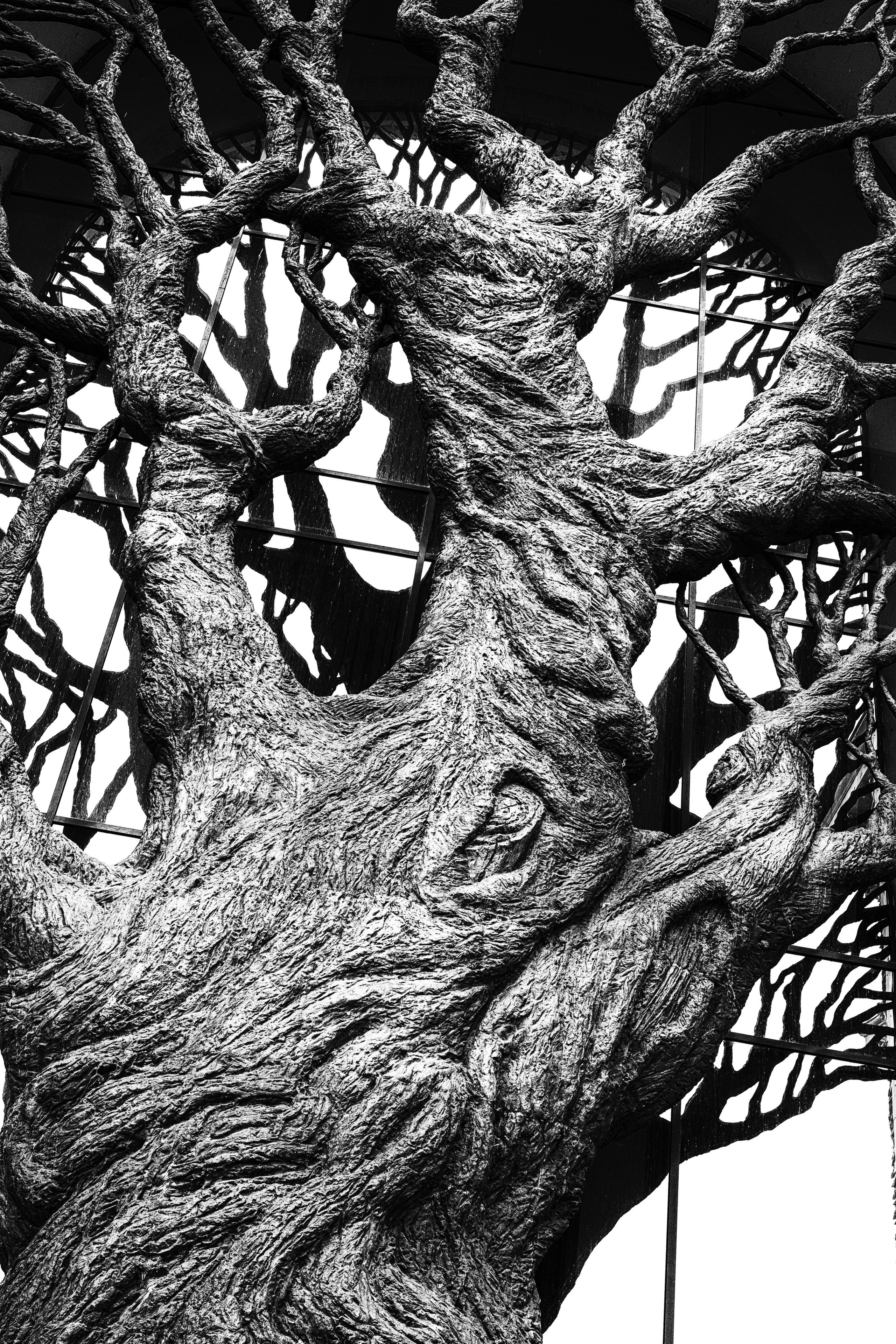 Abstraction. Dimitri Bakhtadze photographer