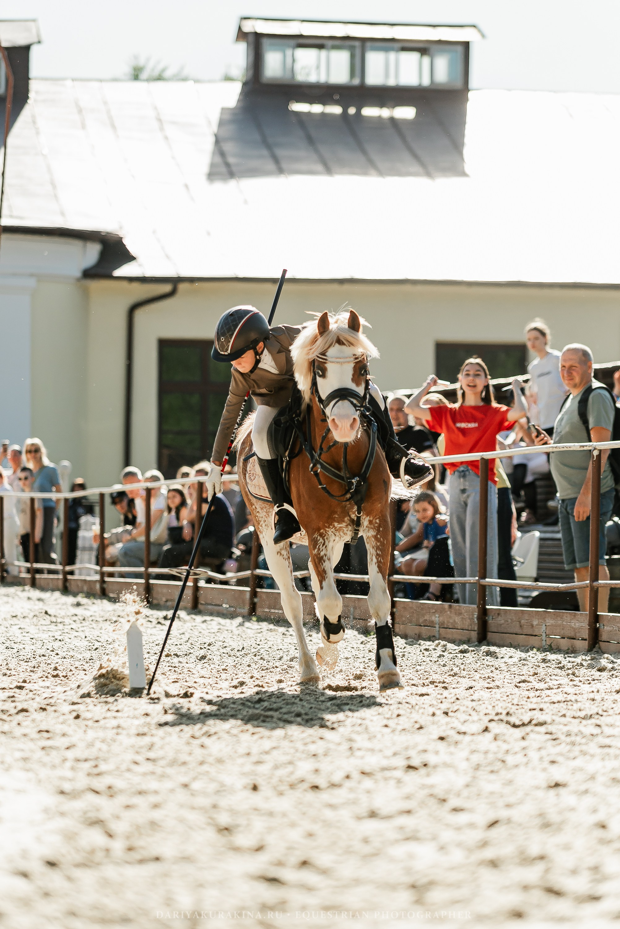 #ПОНИФОРУМ 2024. Конный фотограф Куракина Дарья • Фотосессии с лошадьми