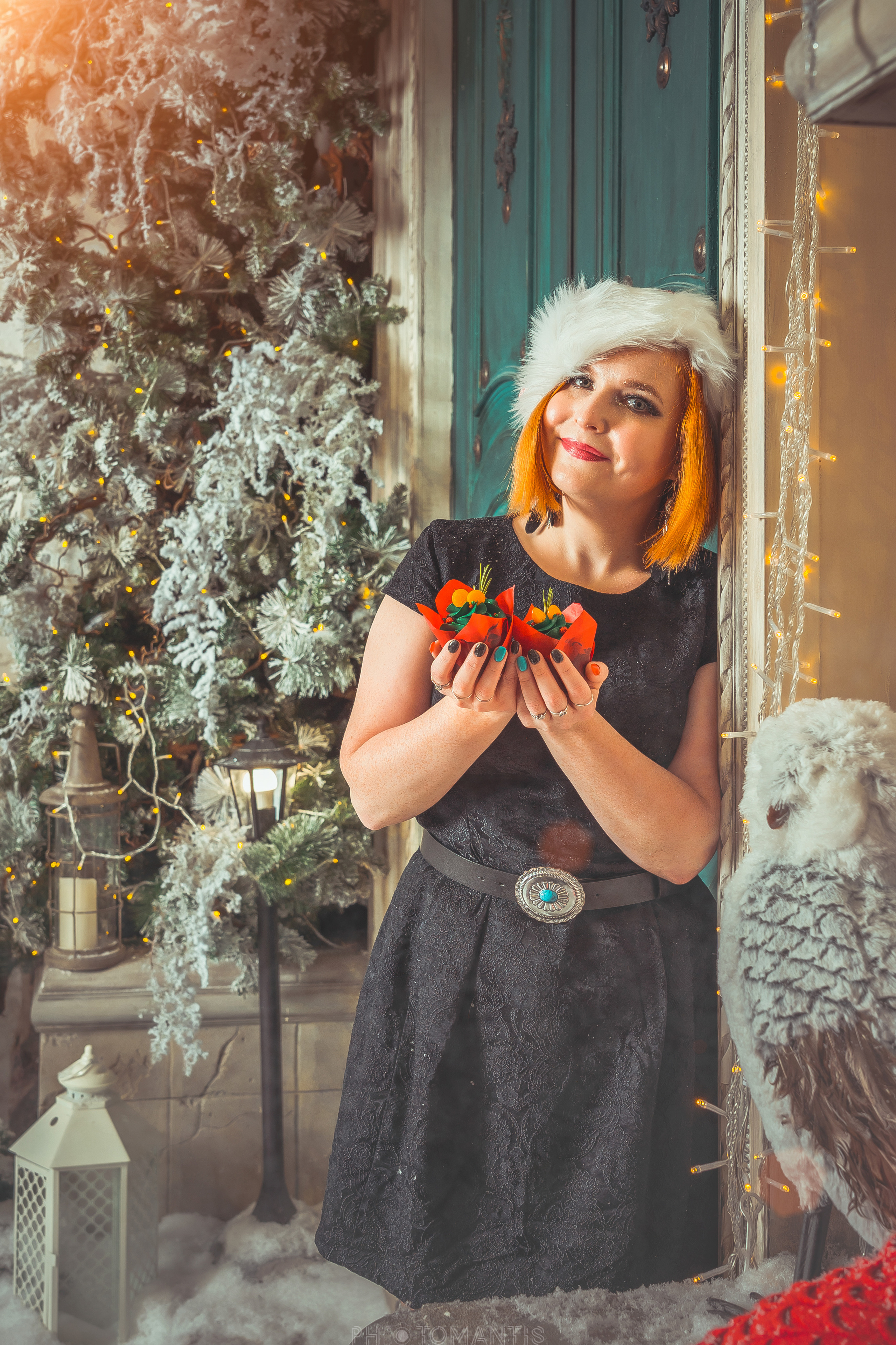 Новогоднее. Photomantis