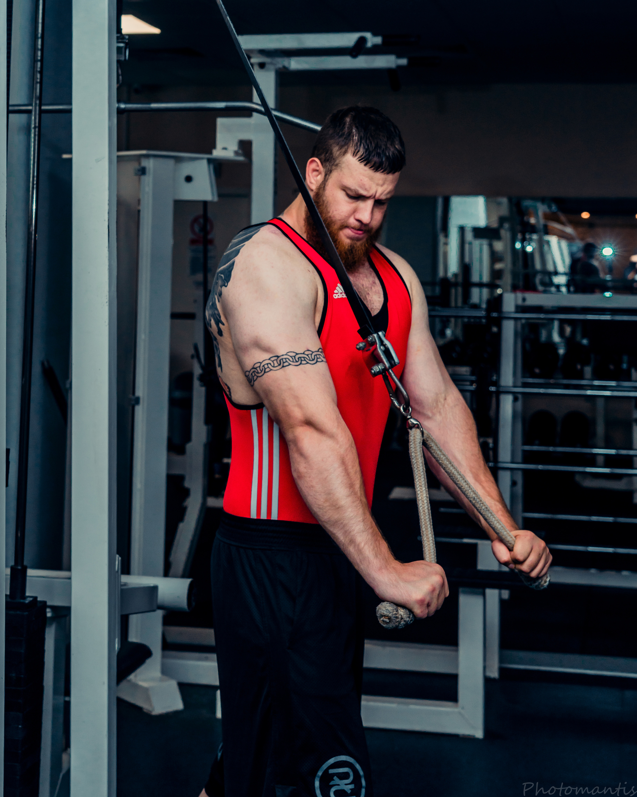 Спортзал. Photomantis