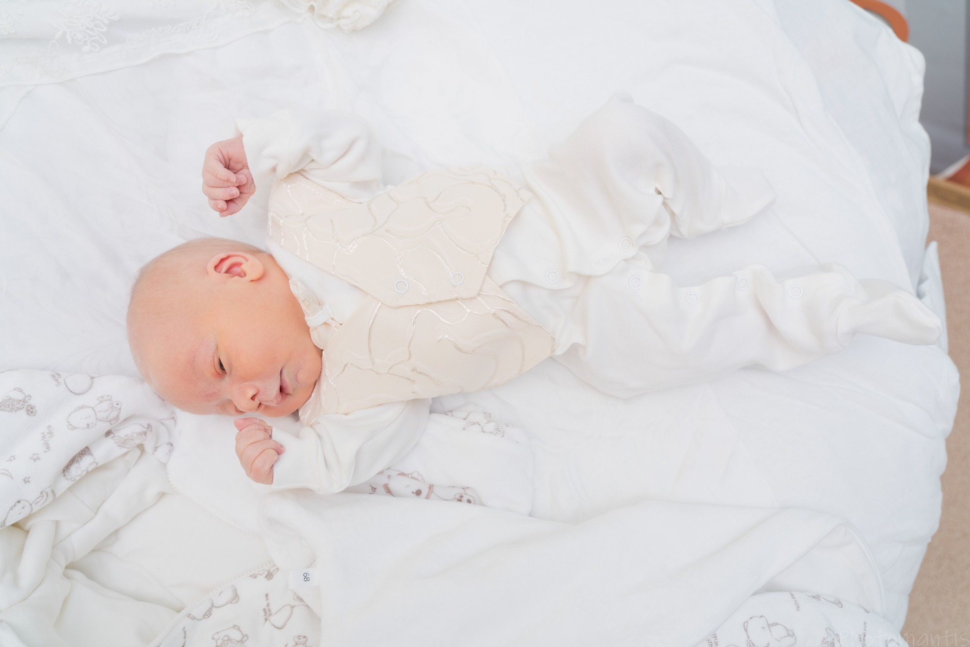 Выписка из роддома. Photomantis