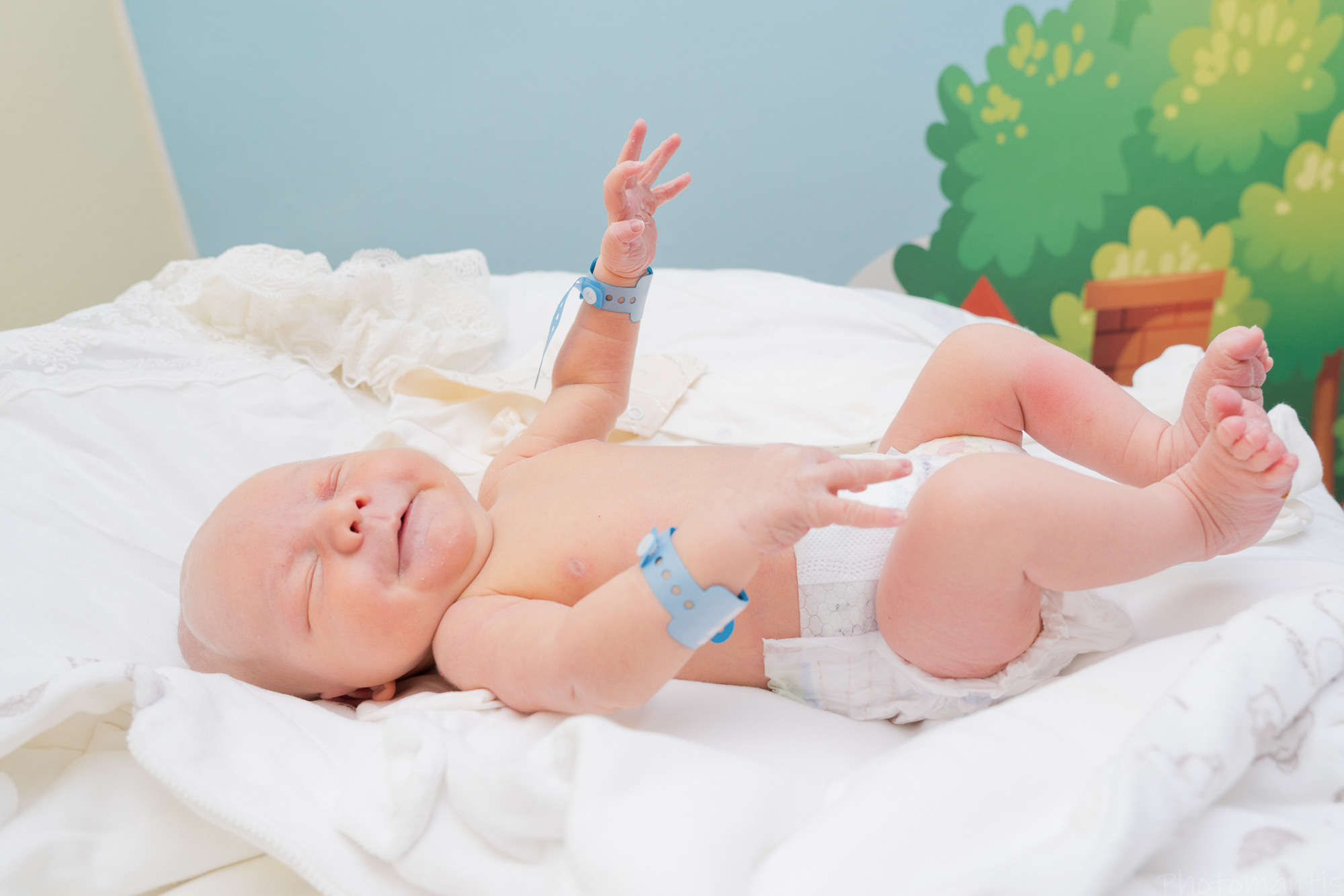 Выписка из роддома. Photomantis