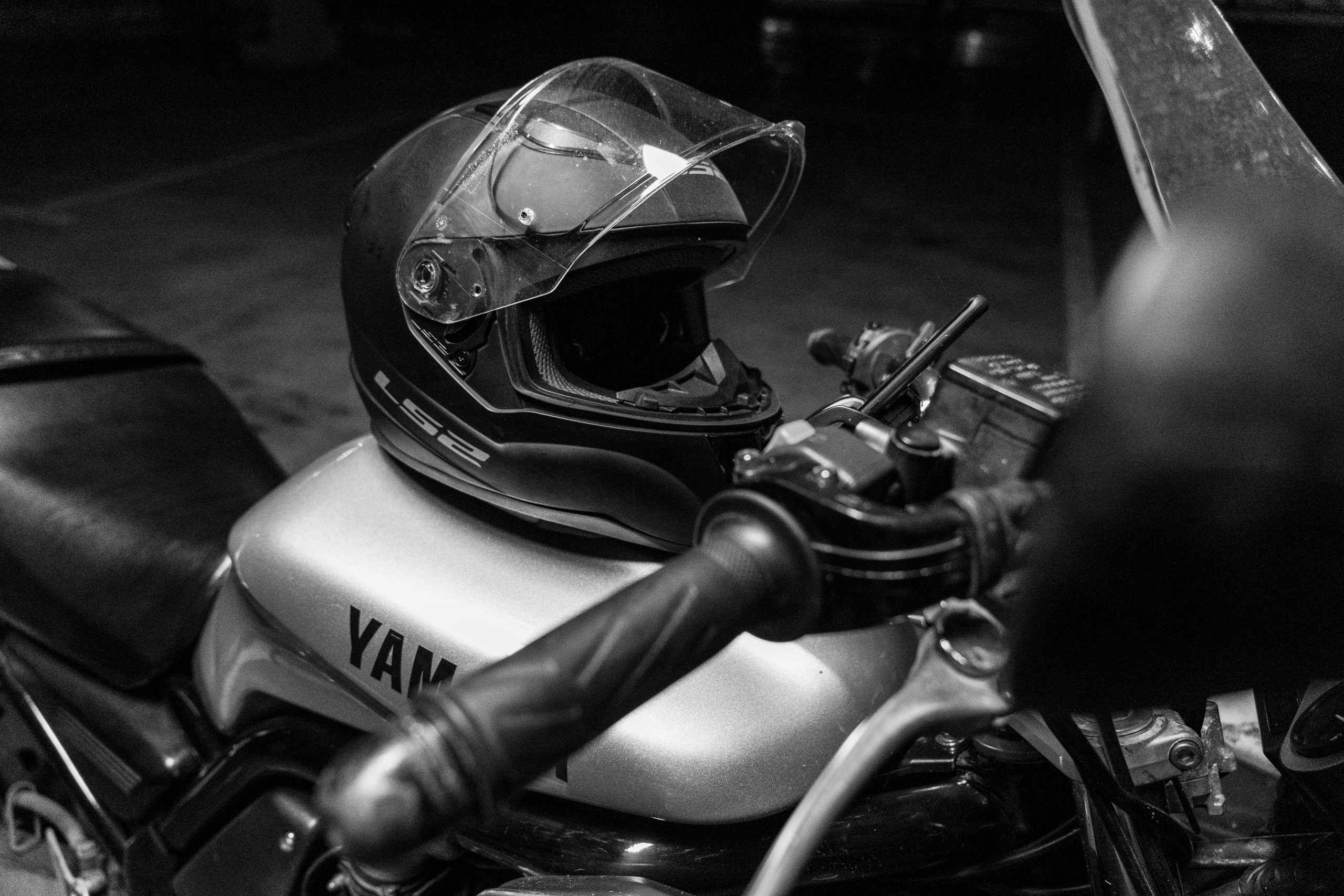 На парковке. Photomantis