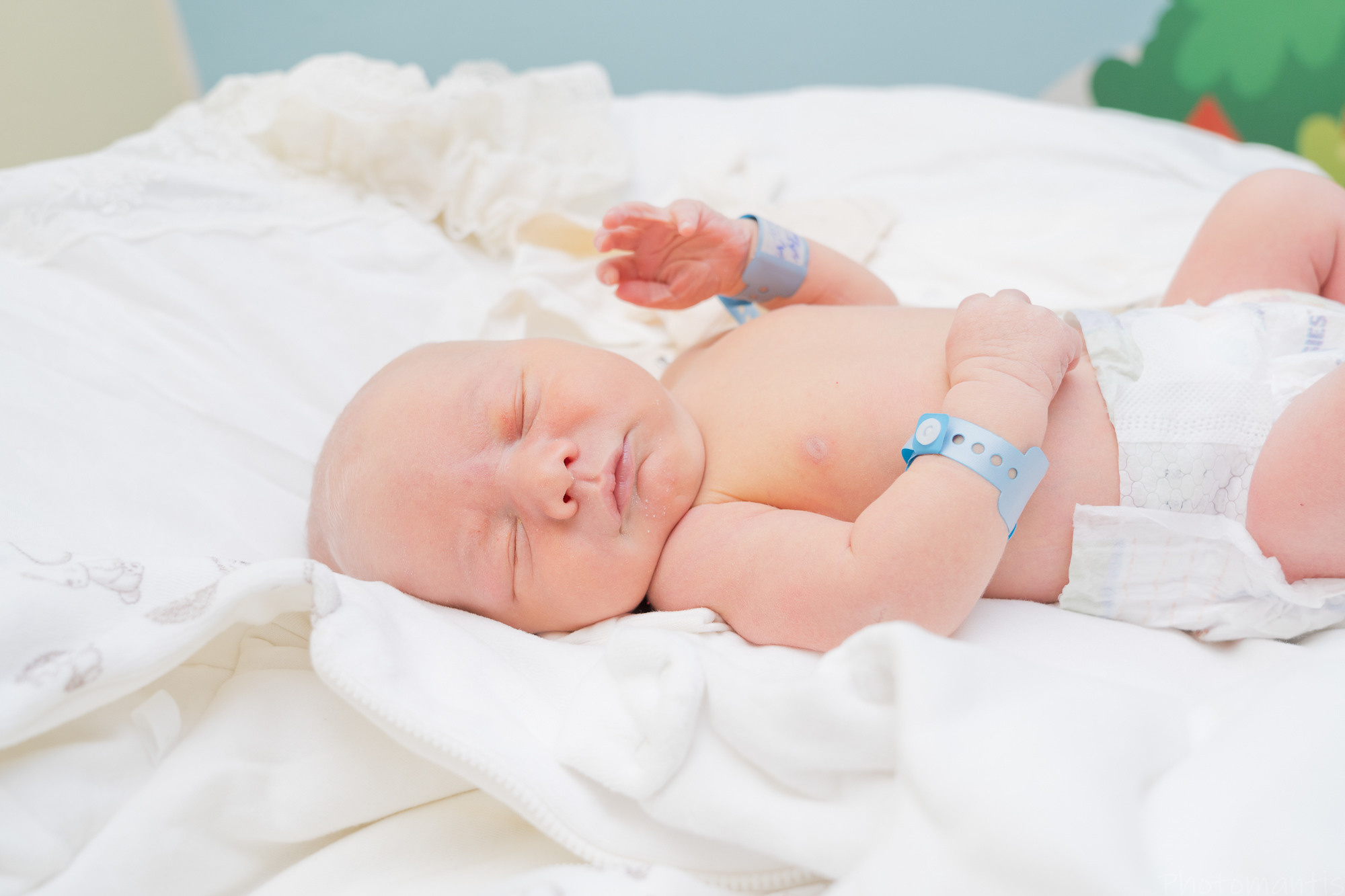 Выписка из роддома. Photomantis