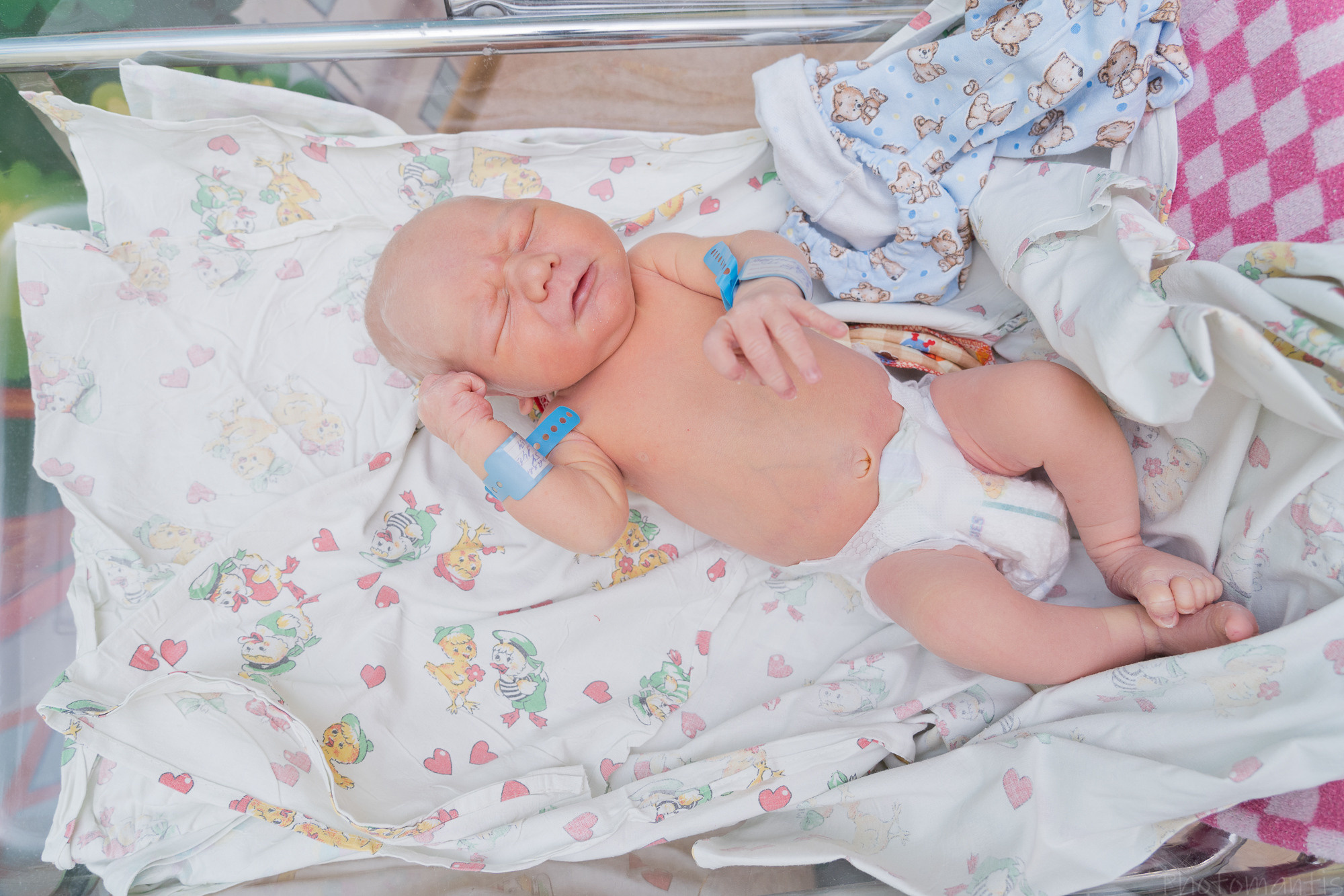 Выписка из роддома. Photomantis