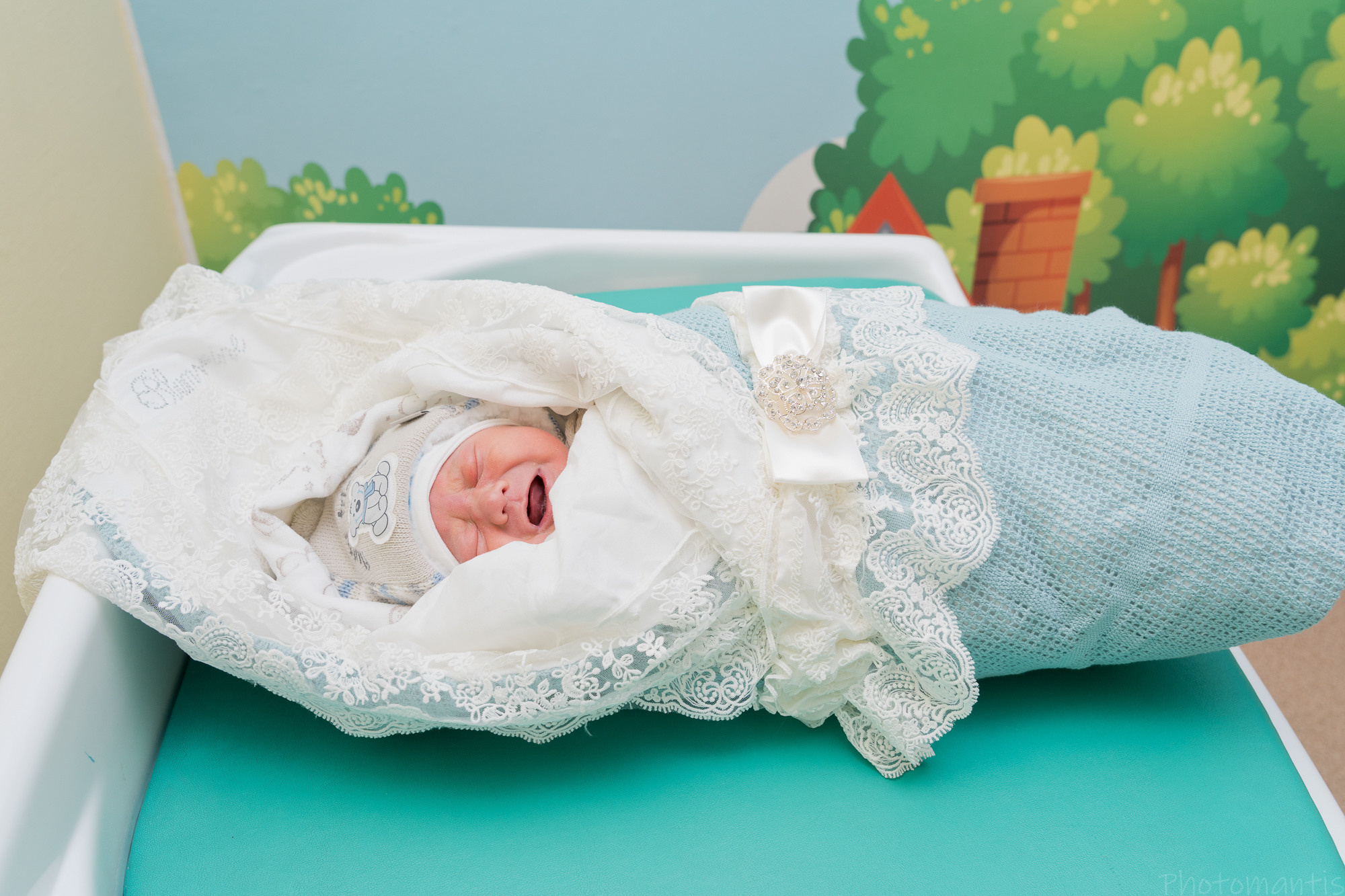 Выписка из роддома. Photomantis