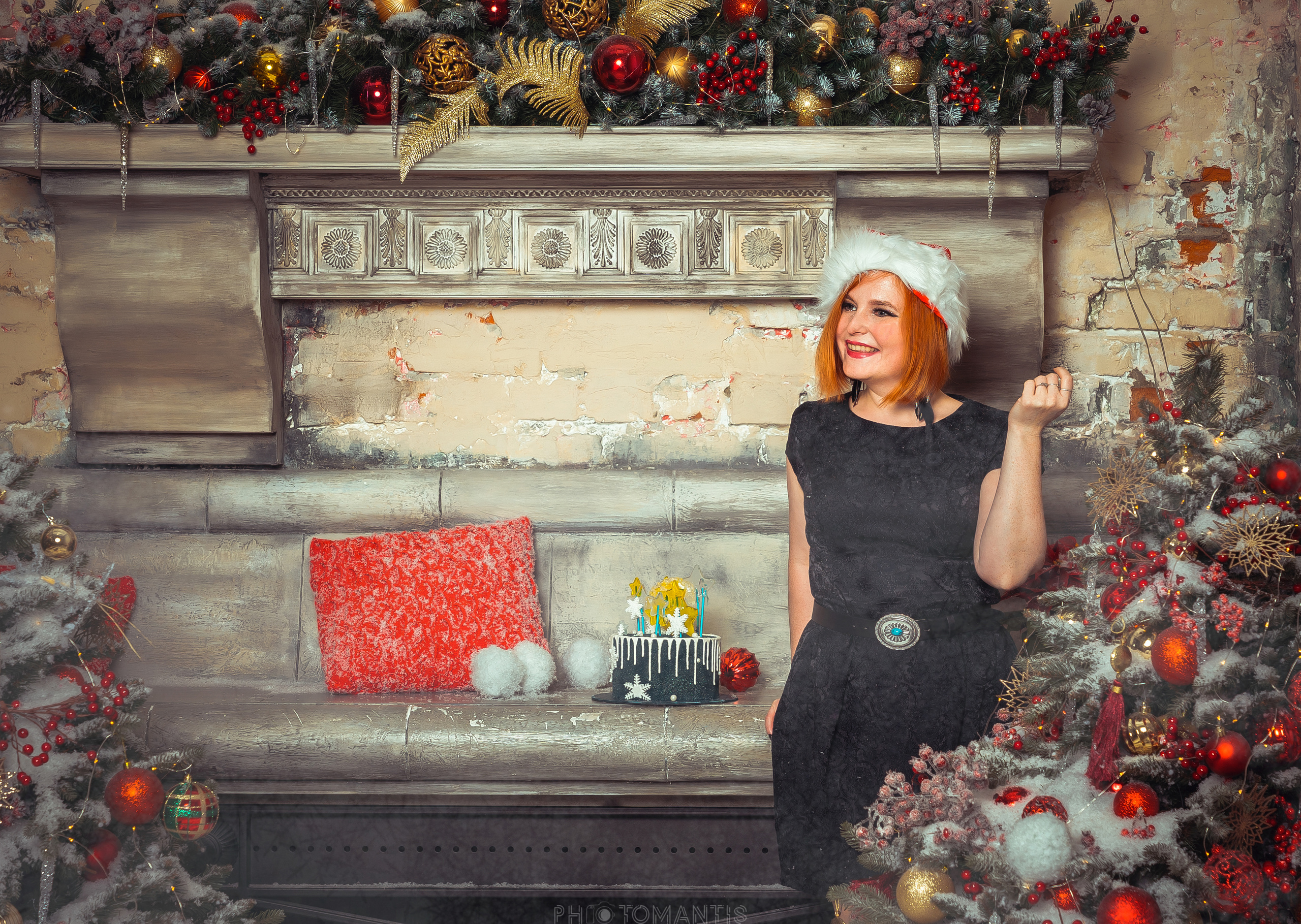 Новогоднее. Photomantis