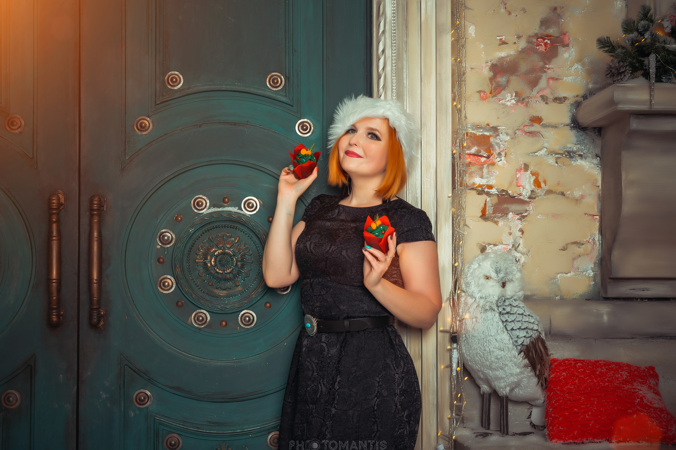 Новогоднее. Photomantis