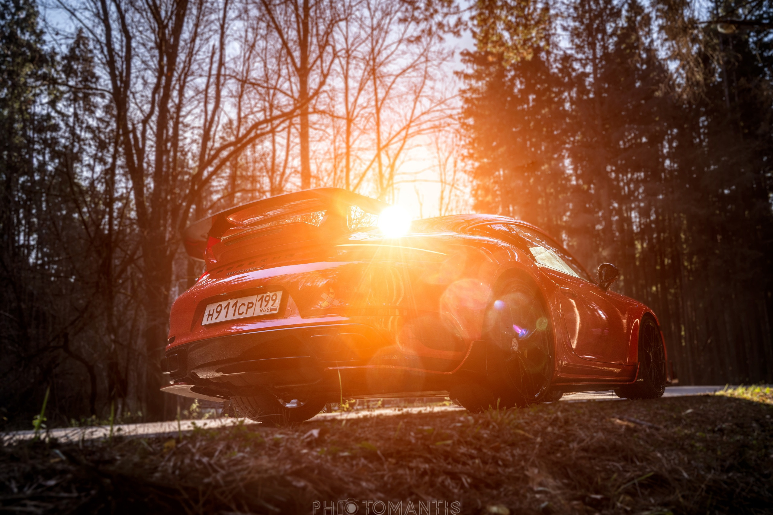 Porshe. Photomantis
